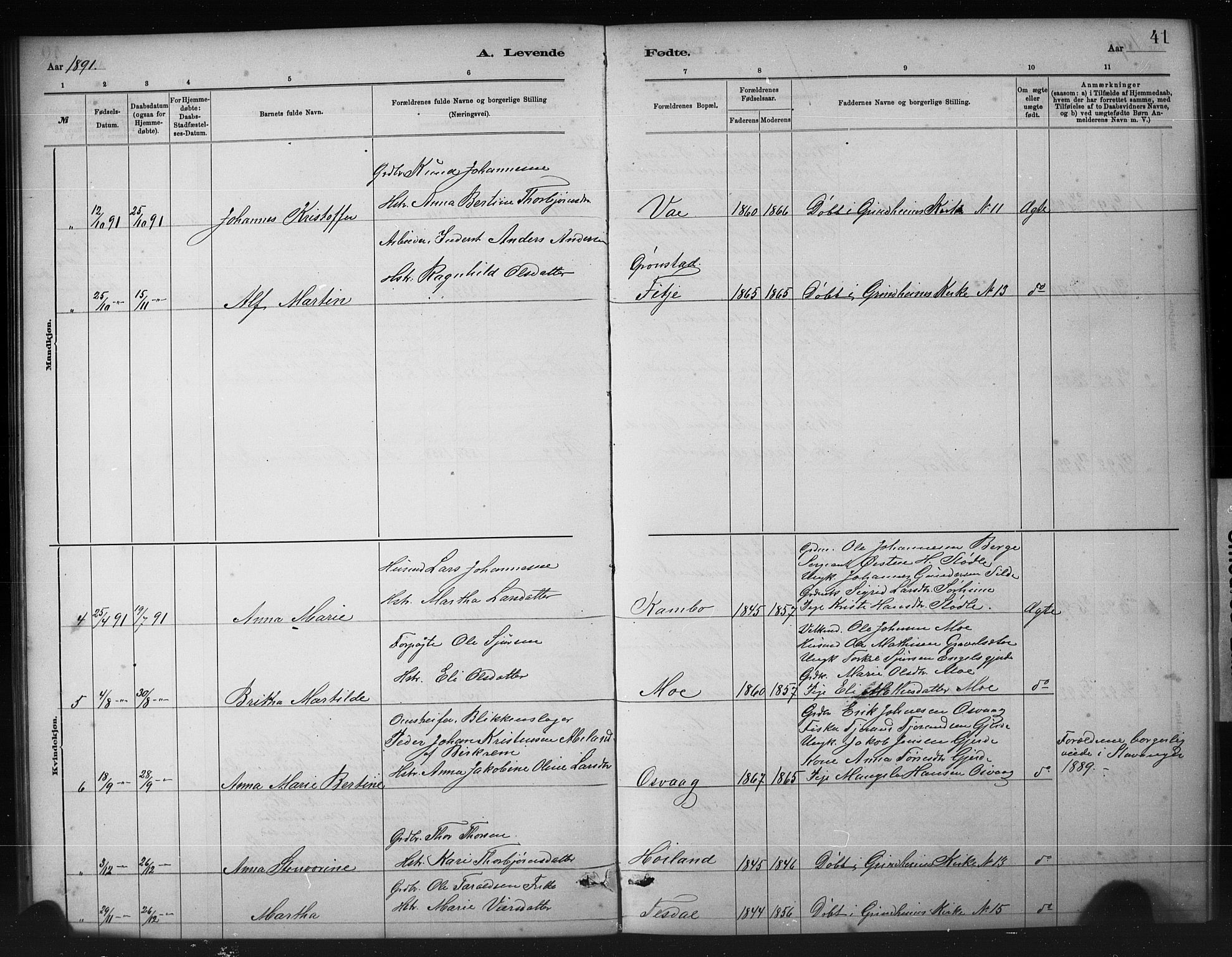 Etne sokneprestembete, SAB/A-75001/H/Hab: Parish register (copy) no. A 5, 1879-1896, p. 41