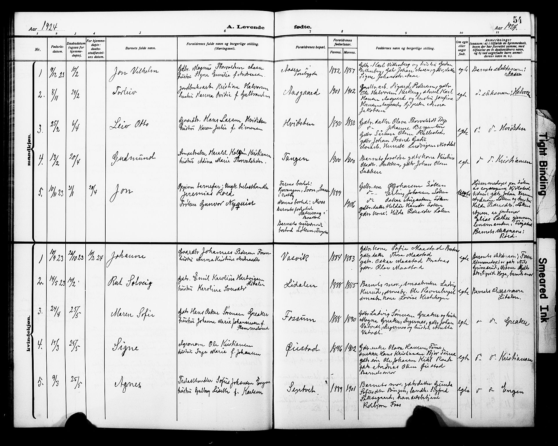 Trøgstad prestekontor Kirkebøker, AV/SAO-A-10925/G/Ga/L0002: Parish register (copy) no. I 2, 1911-1929, p. 54