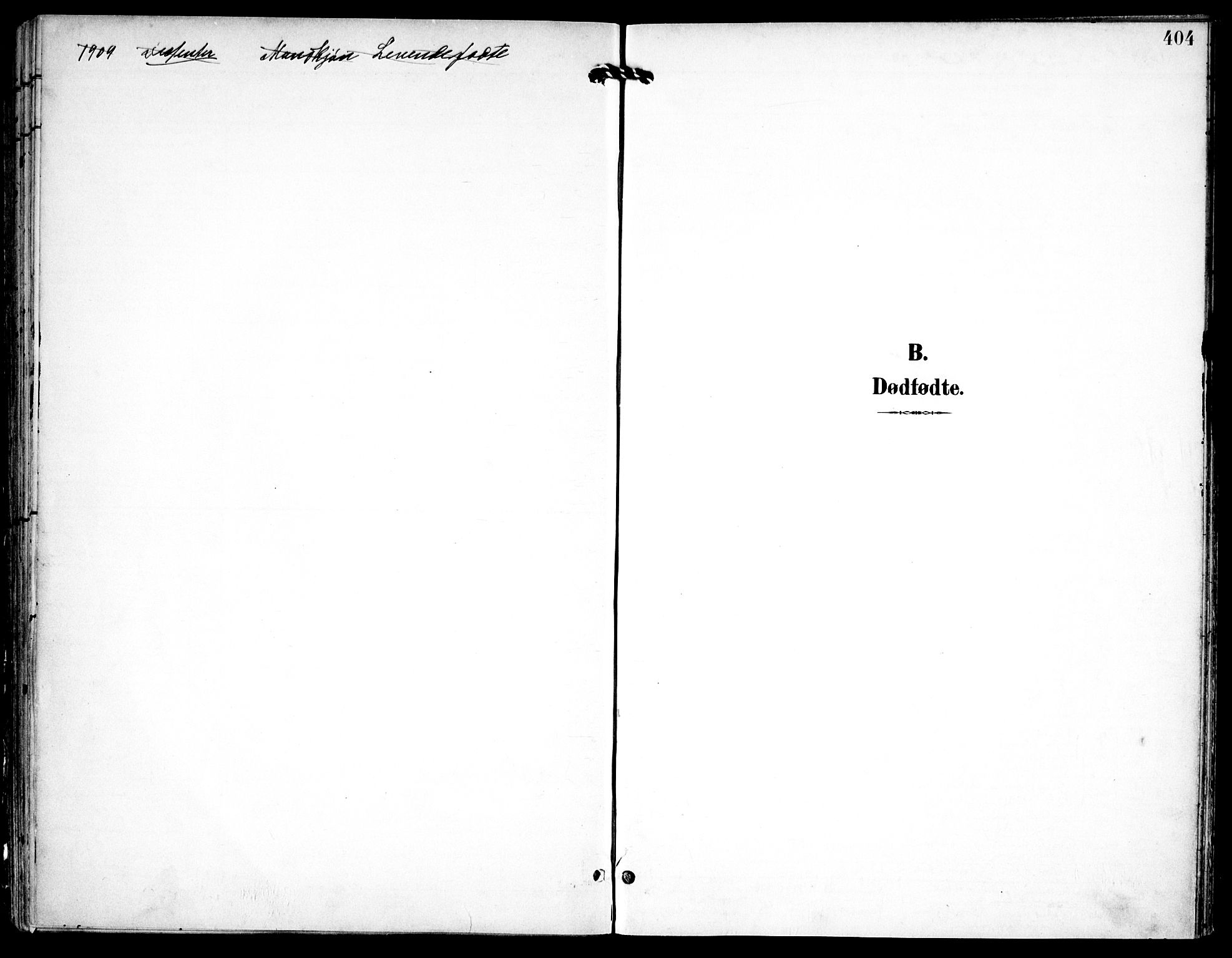 Petrus prestekontor Kirkebøker, AV/SAO-A-10872/F/Fa/L0008: Parish register (official) no. I 8, 1899-1909, p. 404