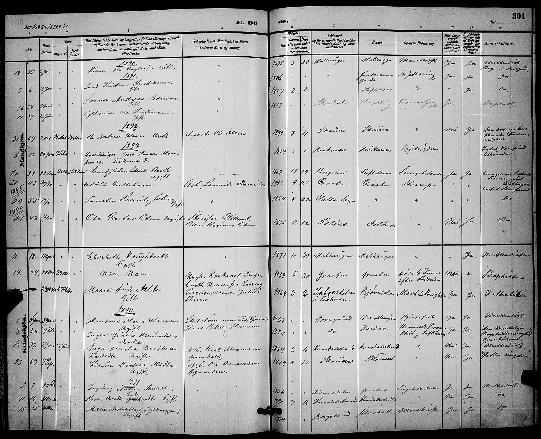 Solum kirkebøker, SAKO/A-306/G/Ga/L0007: Parish register (copy) no. I 7, 1884-1898, p. 301