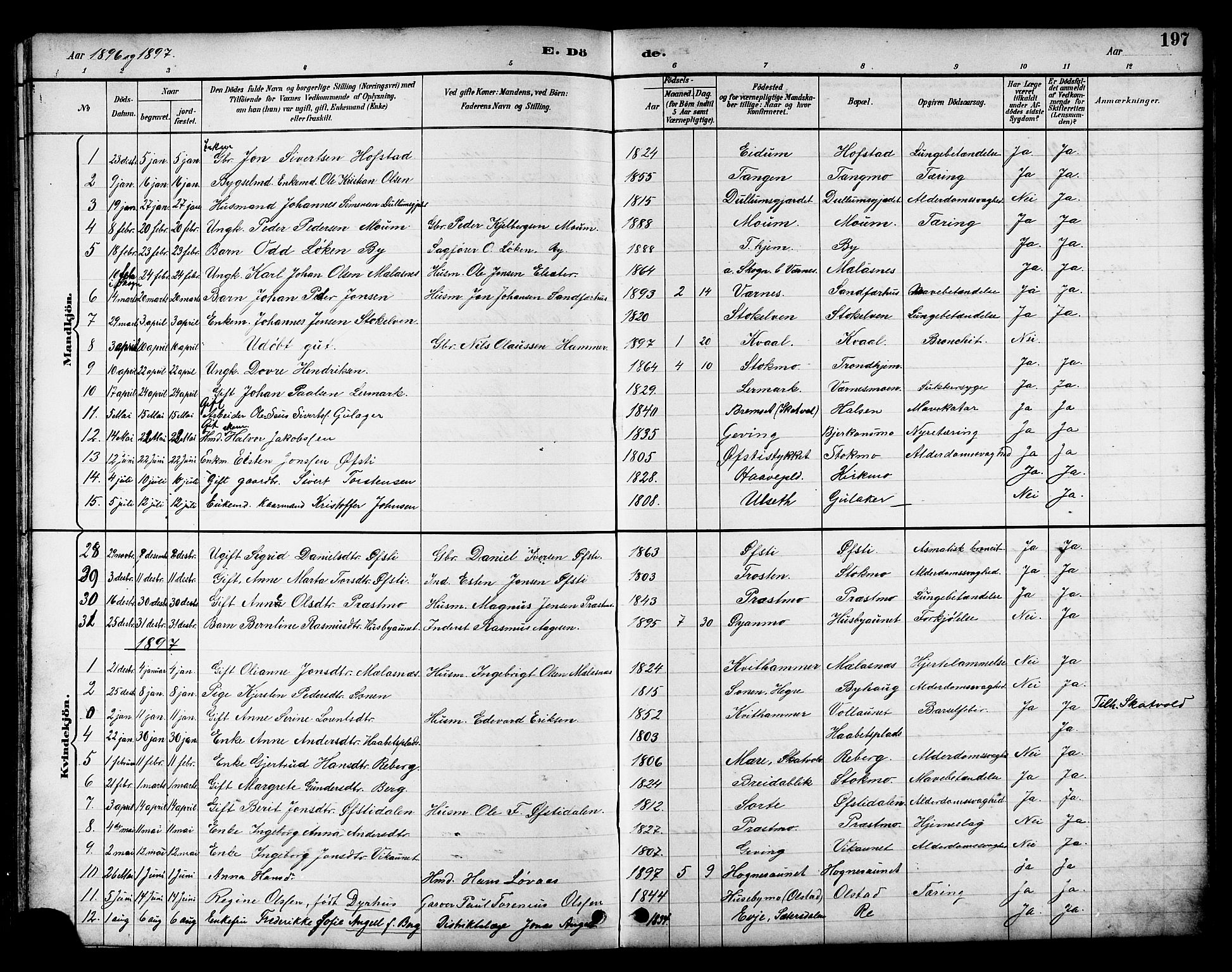 Ministerialprotokoller, klokkerbøker og fødselsregistre - Nord-Trøndelag, SAT/A-1458/709/L0087: Parish register (copy) no. 709C01, 1892-1913, p. 197