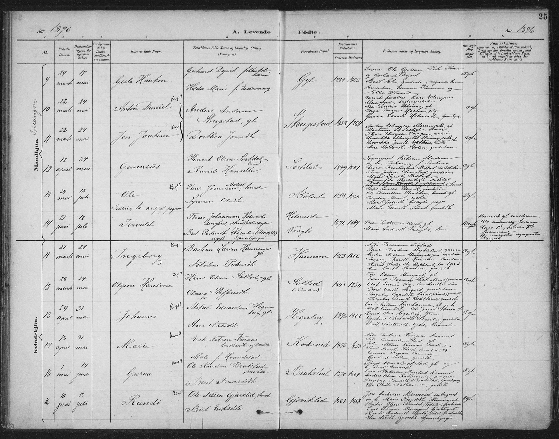 Ministerialprotokoller, klokkerbøker og fødselsregistre - Møre og Romsdal, AV/SAT-A-1454/586/L0988: Parish register (official) no. 586A14, 1893-1905, p. 25