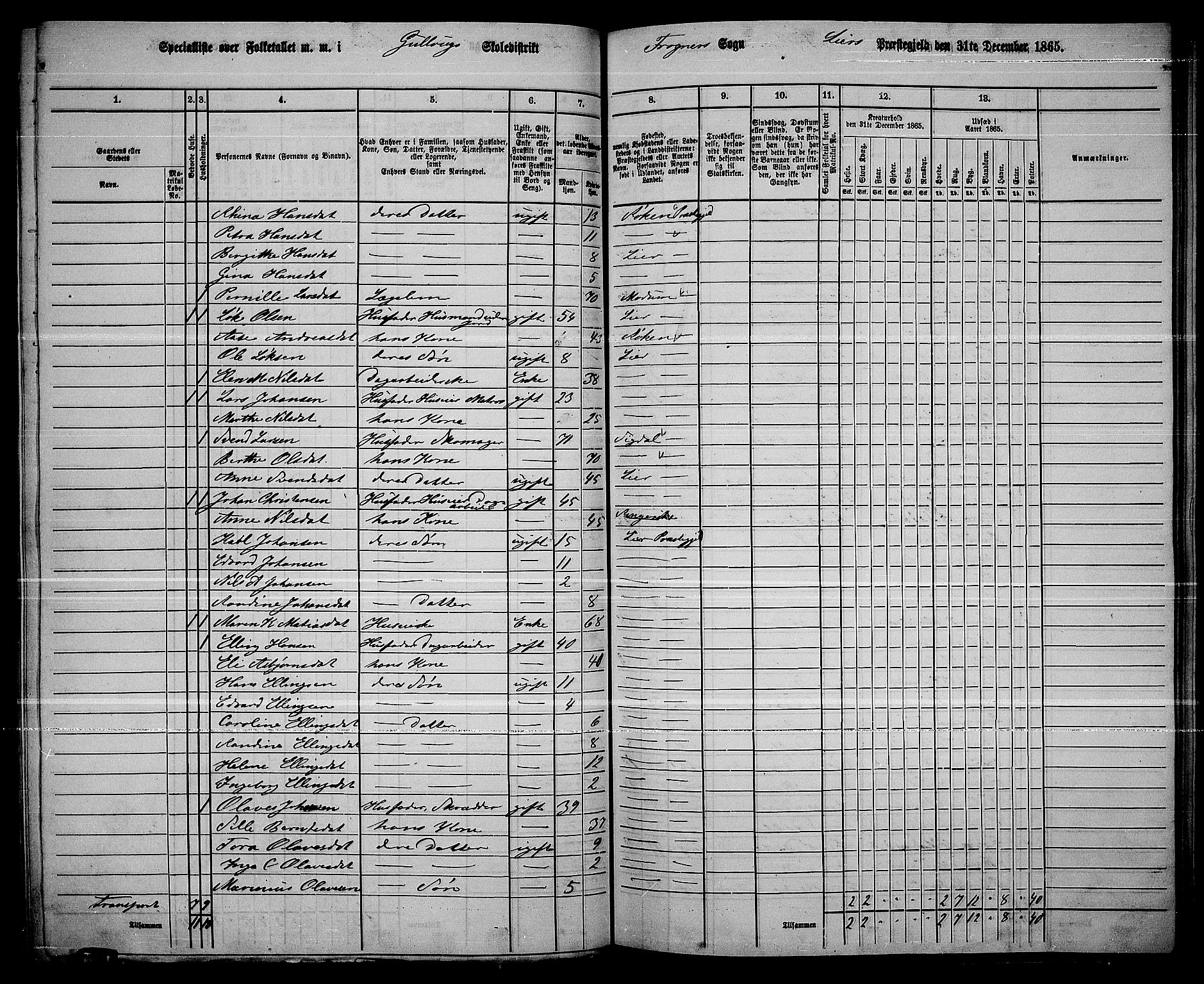 RA, 1865 census for Lier, 1865, p. 148