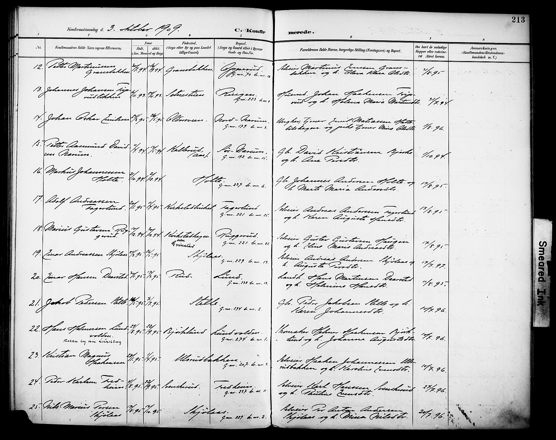 Vestre Toten prestekontor, SAH/PREST-108/H/Ha/Haa/L0013: Parish register (official) no. 13, 1895-1911, p. 213