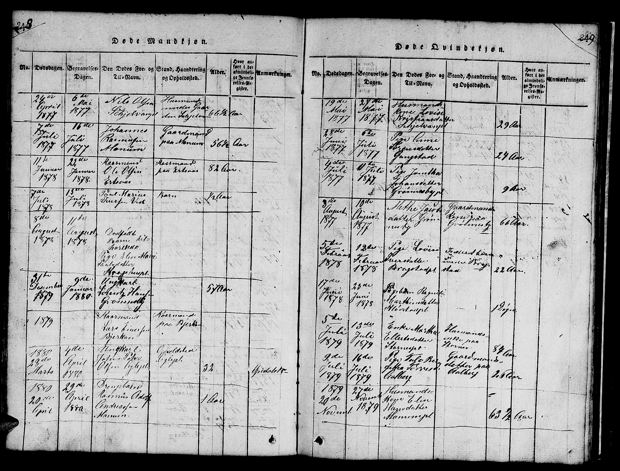 Ministerialprotokoller, klokkerbøker og fødselsregistre - Nord-Trøndelag, AV/SAT-A-1458/732/L0317: Parish register (copy) no. 732C01, 1816-1881, p. 248-249