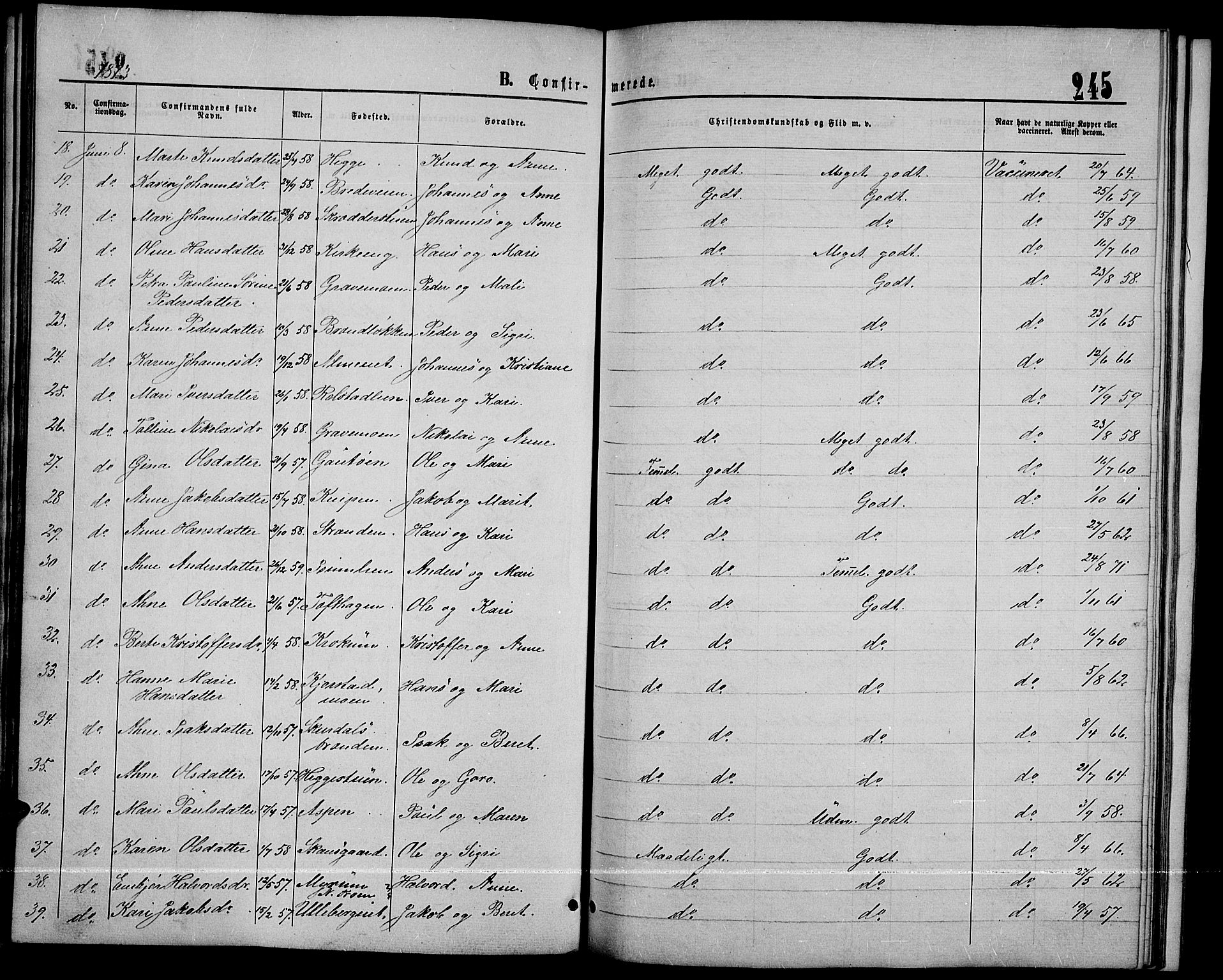 Sør-Fron prestekontor, AV/SAH-PREST-010/H/Ha/Hab/L0002: Parish register (copy) no. 2, 1864-1883, p. 245