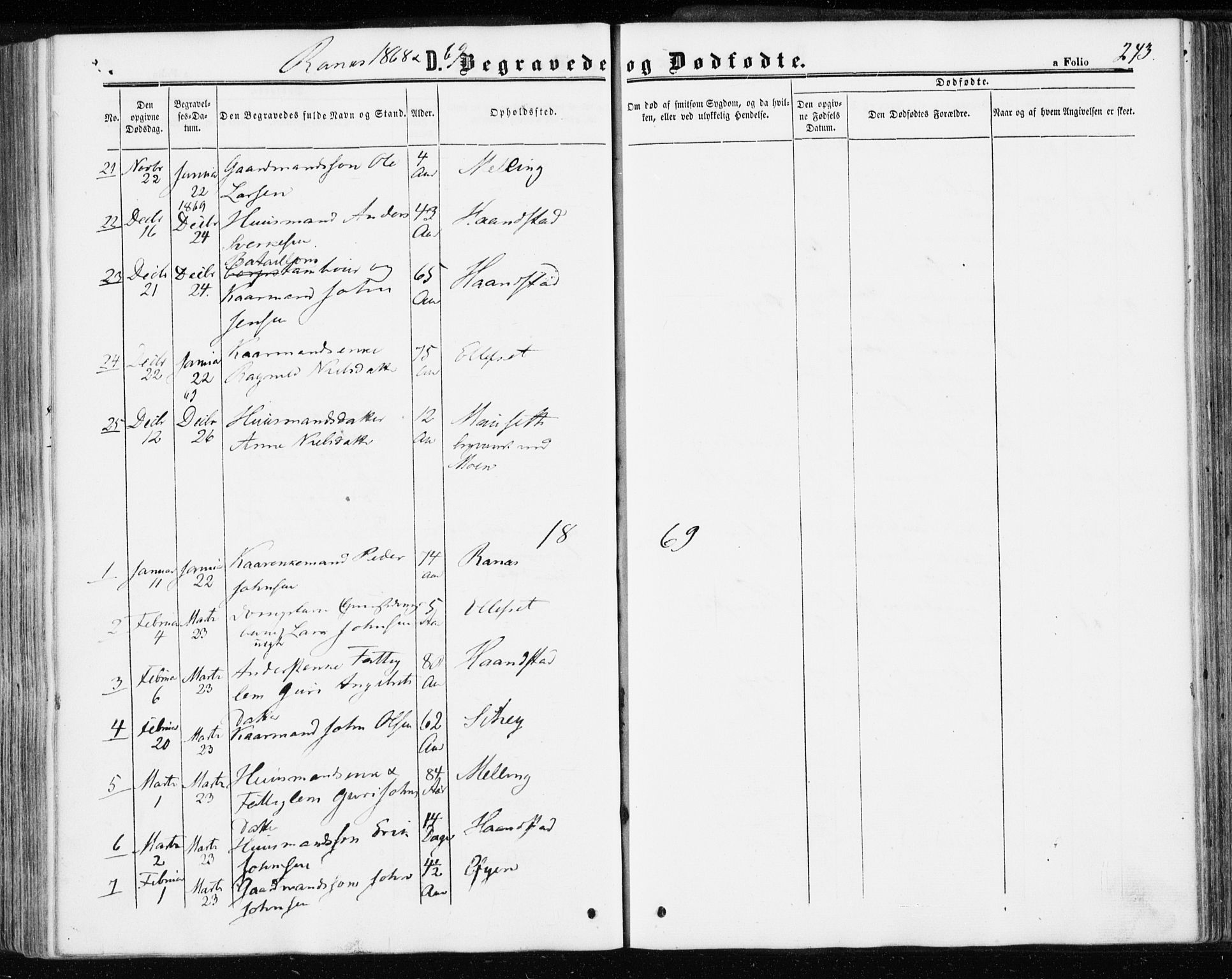 Ministerialprotokoller, klokkerbøker og fødselsregistre - Møre og Romsdal, AV/SAT-A-1454/595/L1045: Parish register (official) no. 595A07, 1863-1873, p. 243