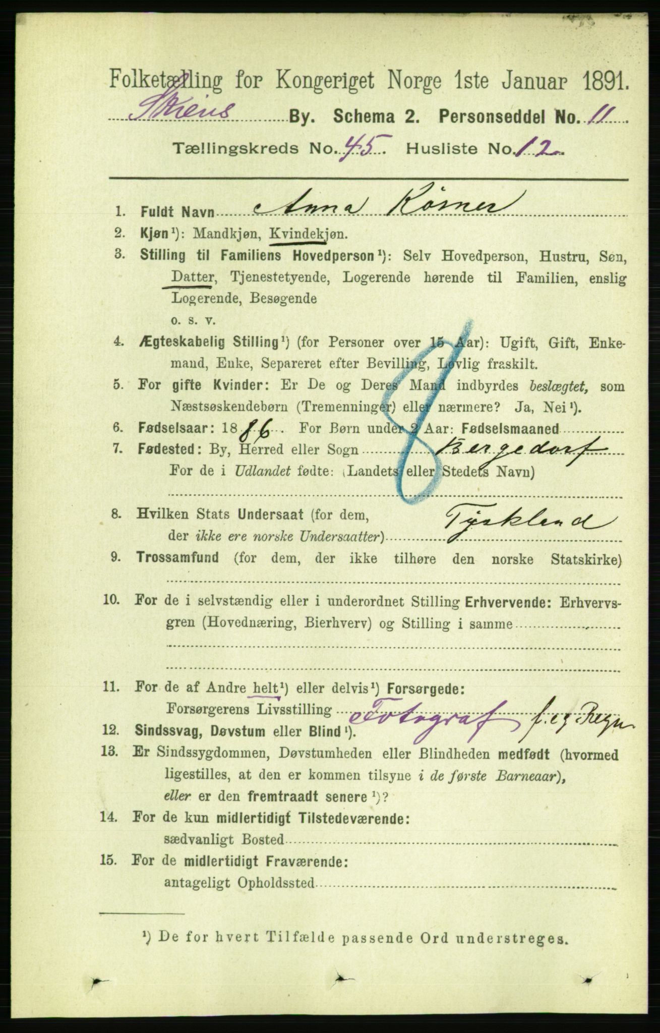 RA, 1891 census for 0806 Skien, 1891, p. 9040