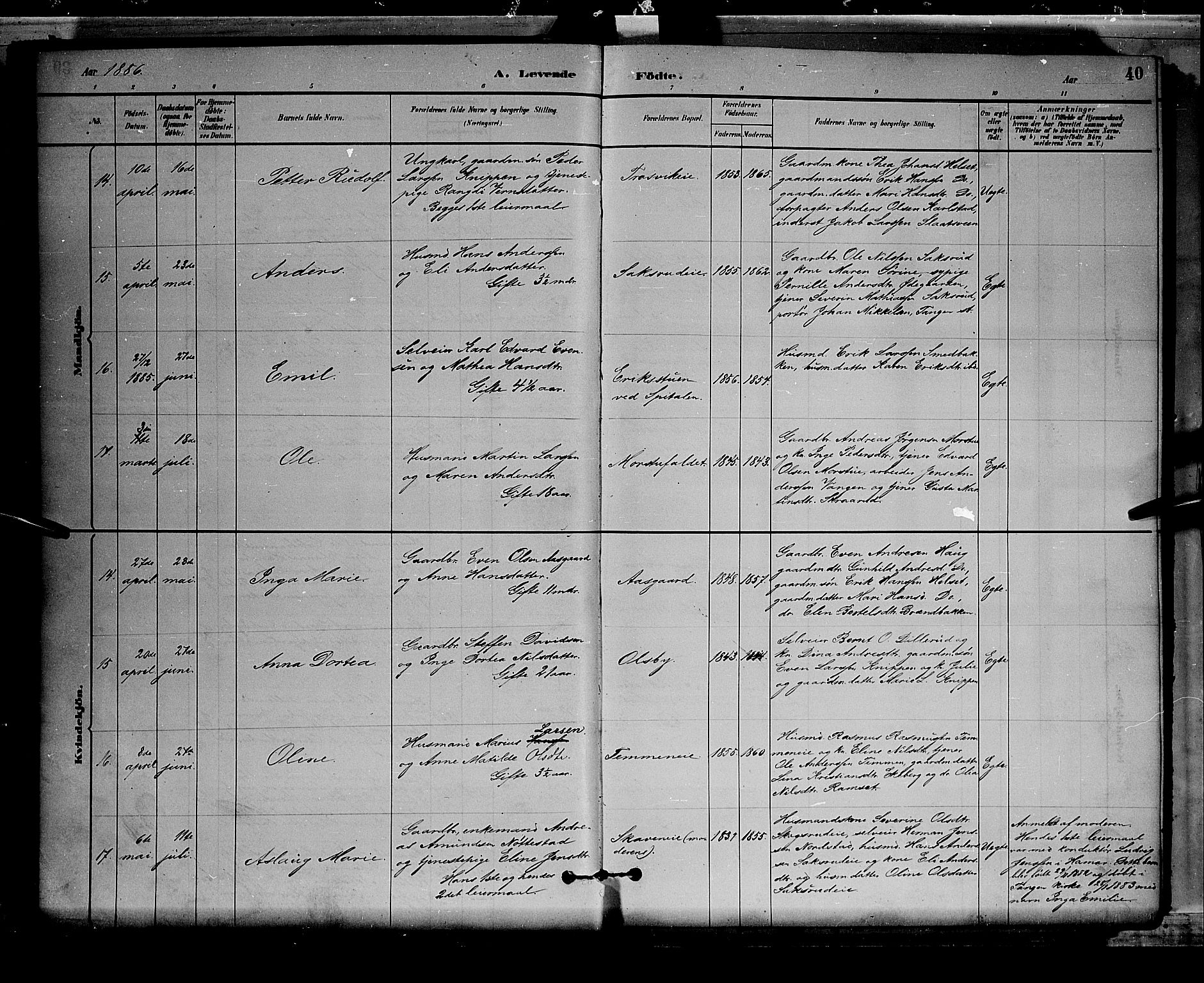 Stange prestekontor, AV/SAH-PREST-002/L/L0008: Parish register (copy) no. 8, 1882-1895, p. 40