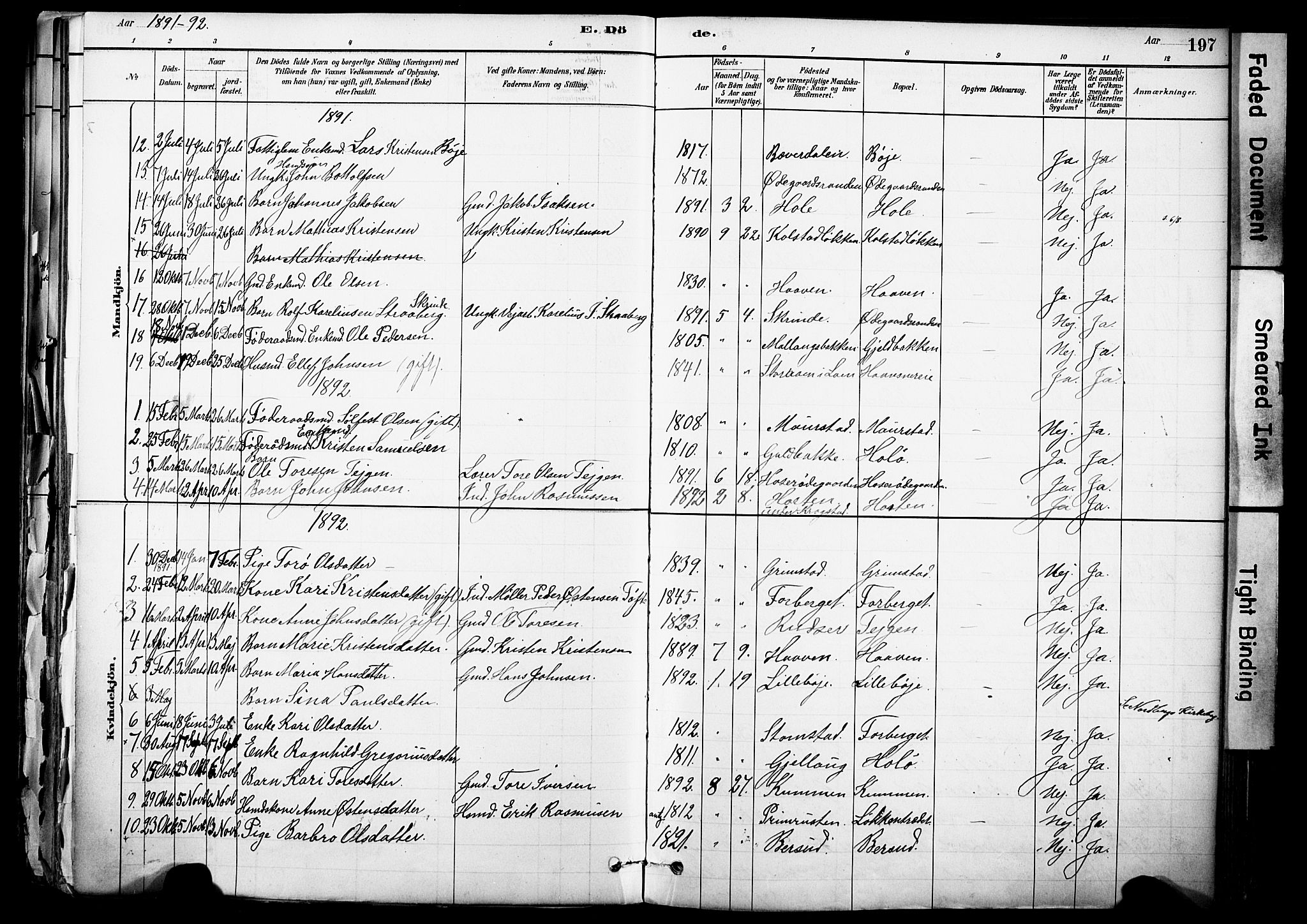 Skjåk prestekontor, SAH/PREST-072/H/Ha/Haa/L0003: Parish register (official) no. 3, 1880-1907, p. 197