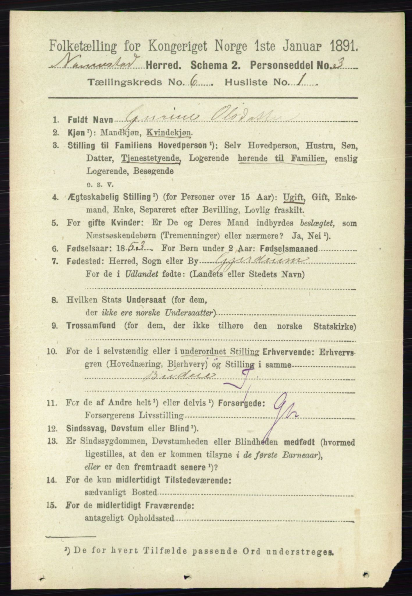 RA, 1891 census for 0238 Nannestad, 1891, p. 3064