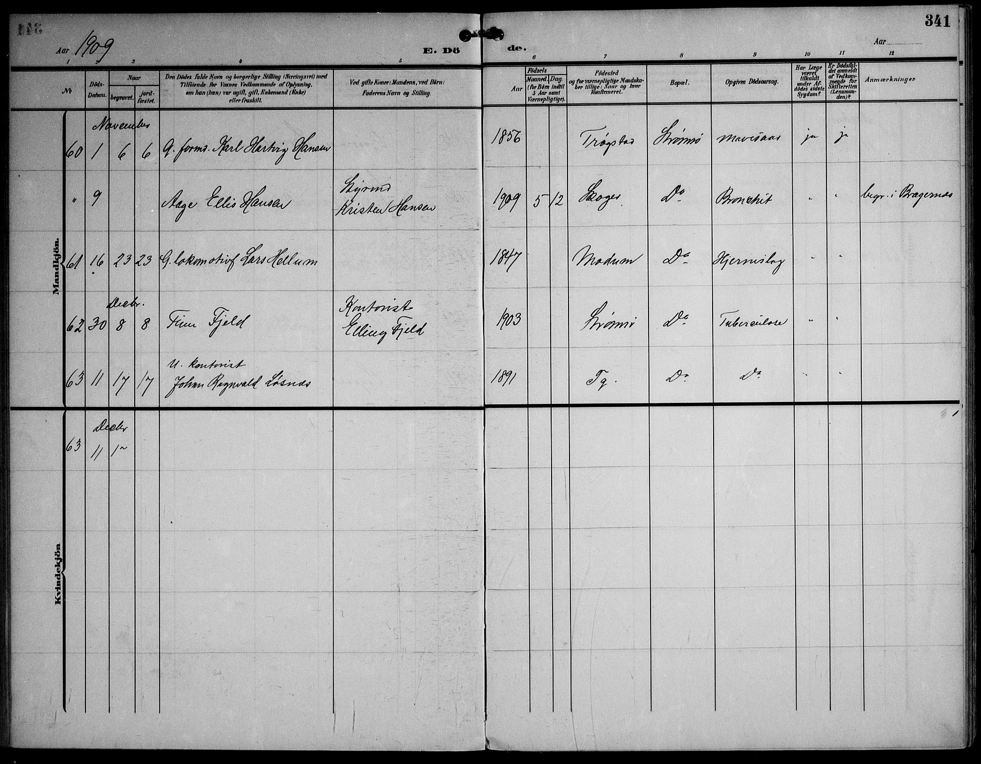 Strømsø kirkebøker, SAKO/A-246/F/Fa/L0026: Parish register (official) no. I 26, 1905-1914, p. 341