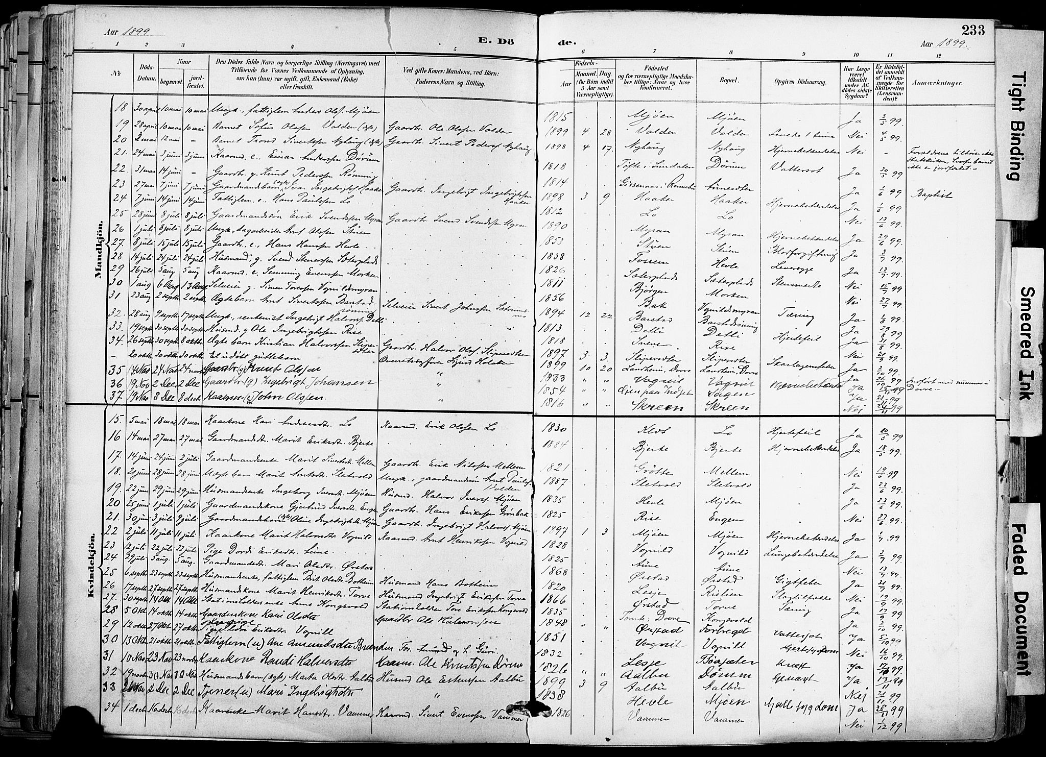 Ministerialprotokoller, klokkerbøker og fødselsregistre - Sør-Trøndelag, SAT/A-1456/678/L0902: Parish register (official) no. 678A11, 1895-1911, p. 233