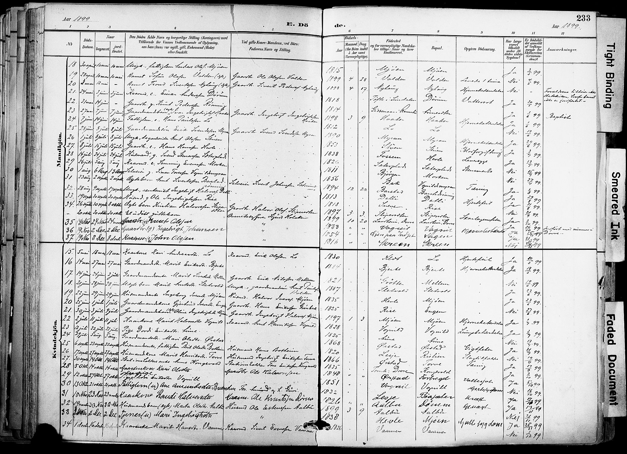 Ministerialprotokoller, klokkerbøker og fødselsregistre - Sør-Trøndelag, AV/SAT-A-1456/678/L0902: Parish register (official) no. 678A11, 1895-1911, p. 233