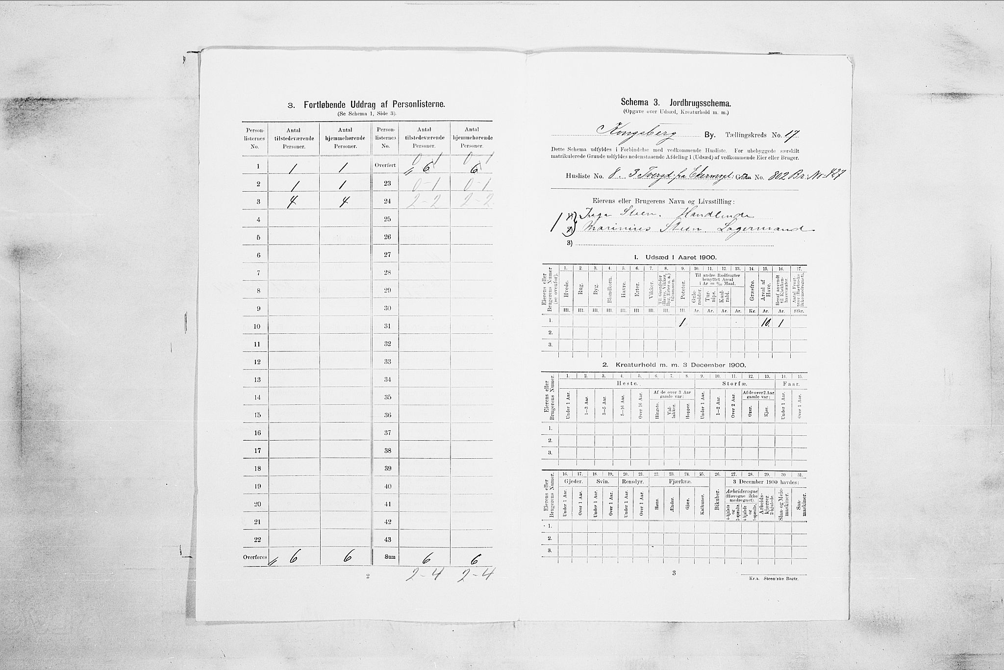 RA, 1900 census for Kongsberg, 1900, p. 3379