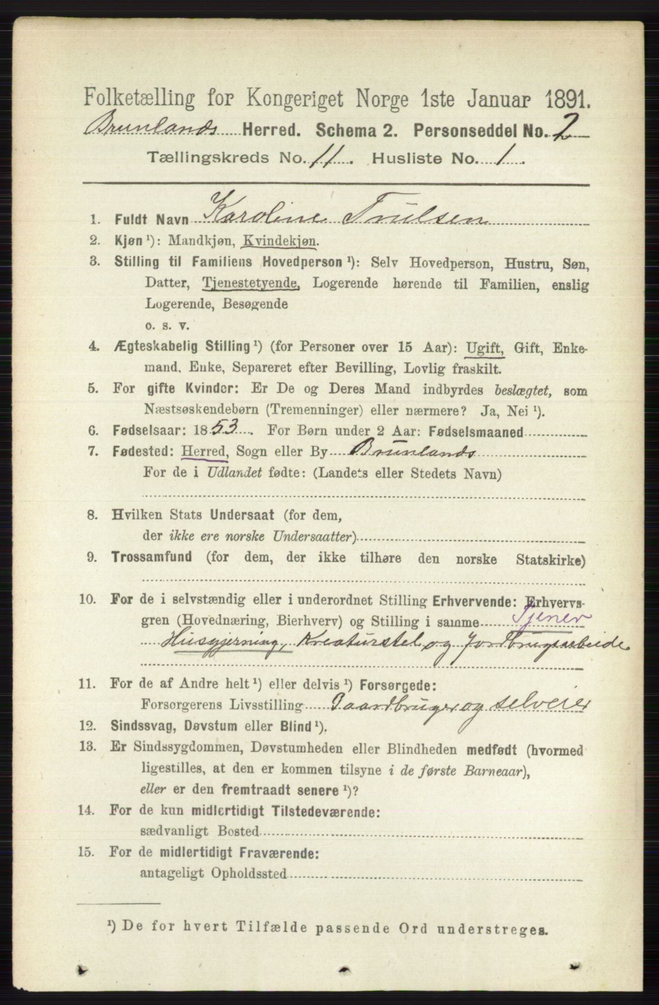 RA, 1891 census for 0726 Brunlanes, 1891, p. 5365