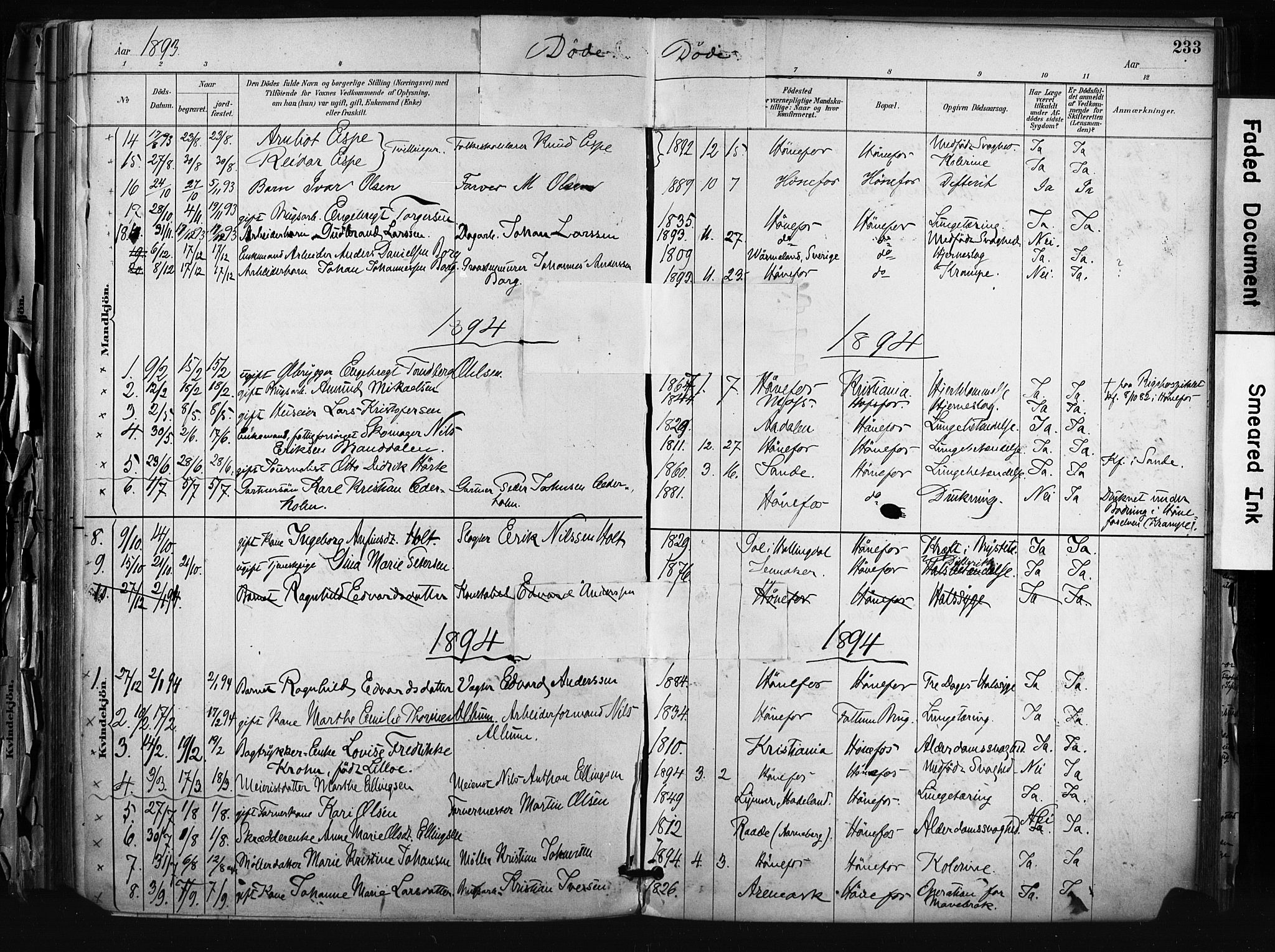 Hønefoss kirkebøker, AV/SAKO-A-609/F/Fa/L0002: Parish register (official) no. 2, 1887-1906, p. 233