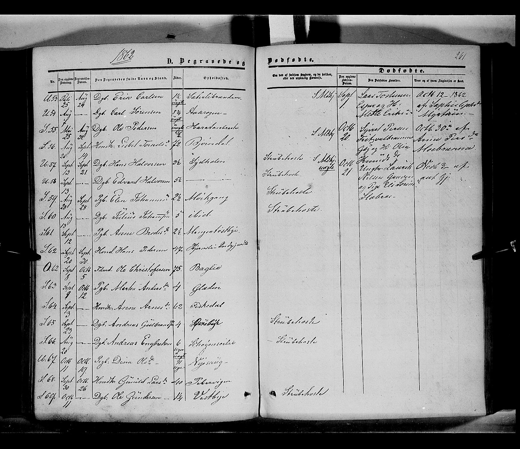 Sør-Odal prestekontor, AV/SAH-PREST-030/H/Ha/Haa/L0002: Parish register (official) no. 2, 1859-1863, p. 261