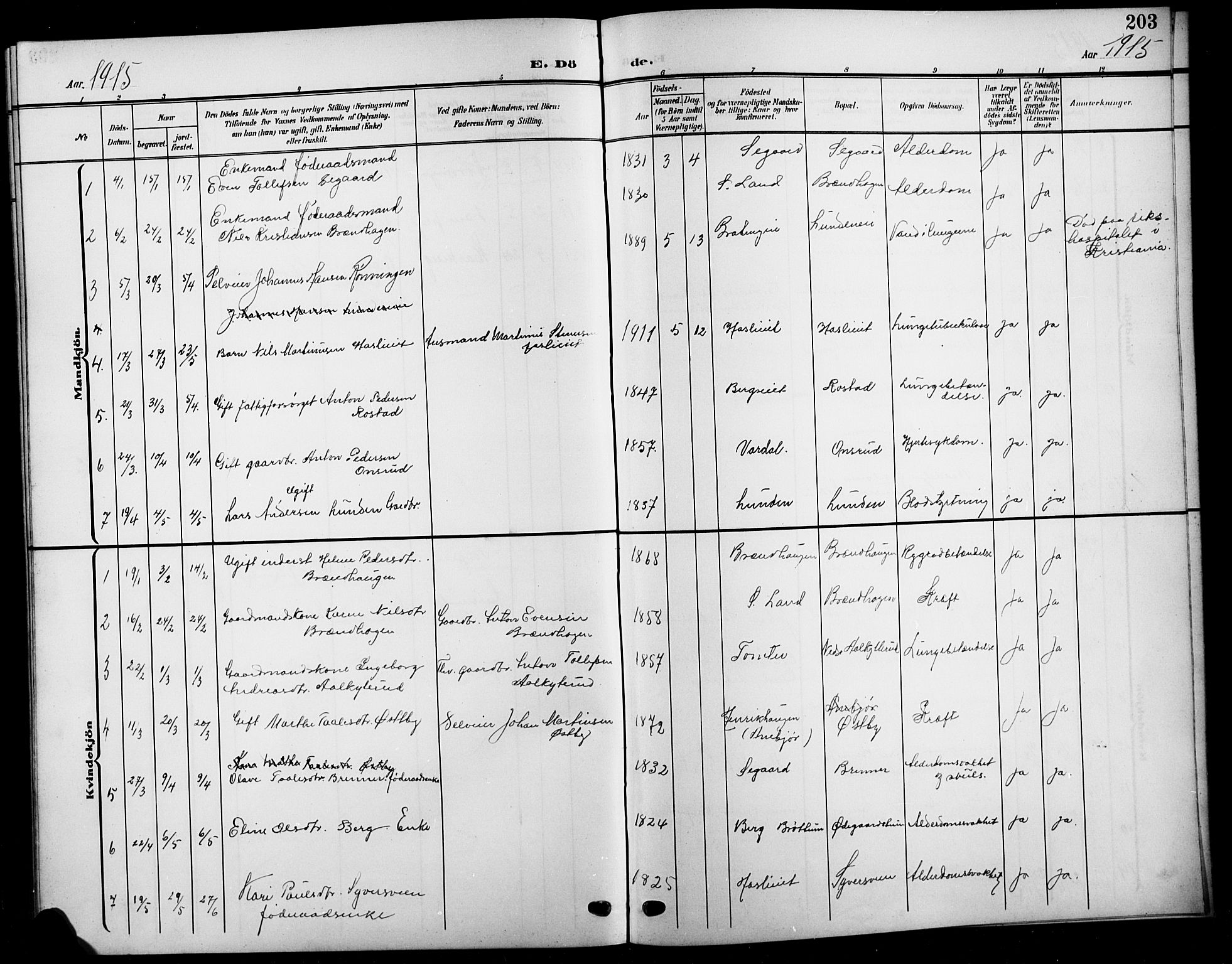Biri prestekontor, SAH/PREST-096/H/Ha/Hab/L0005: Parish register (copy) no. 5, 1906-1919, p. 203