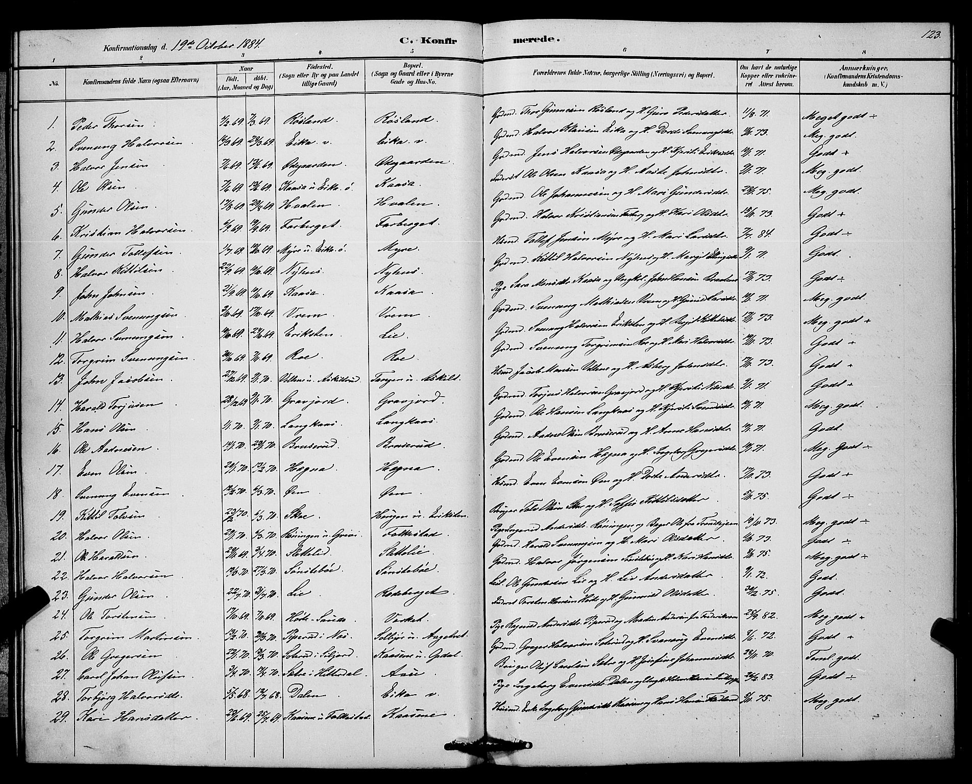 Bø kirkebøker, SAKO/A-257/G/Ga/L0005: Parish register (copy) no. 5, 1883-1897, p. 123