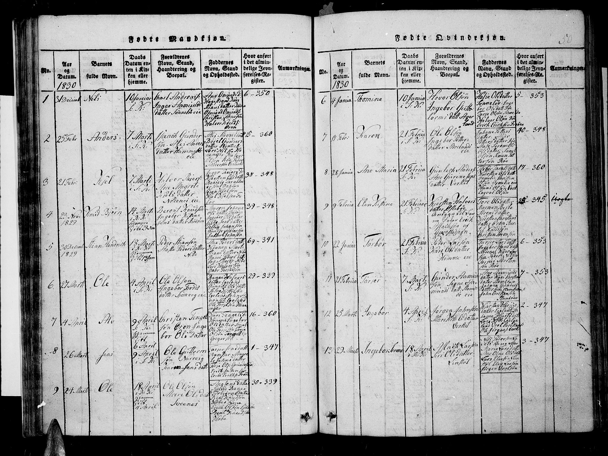 Søndeled sokneprestkontor, AV/SAK-1111-0038/F/Fb/L0002: Parish register (copy) no. B 2, 1816-1839, p. 50