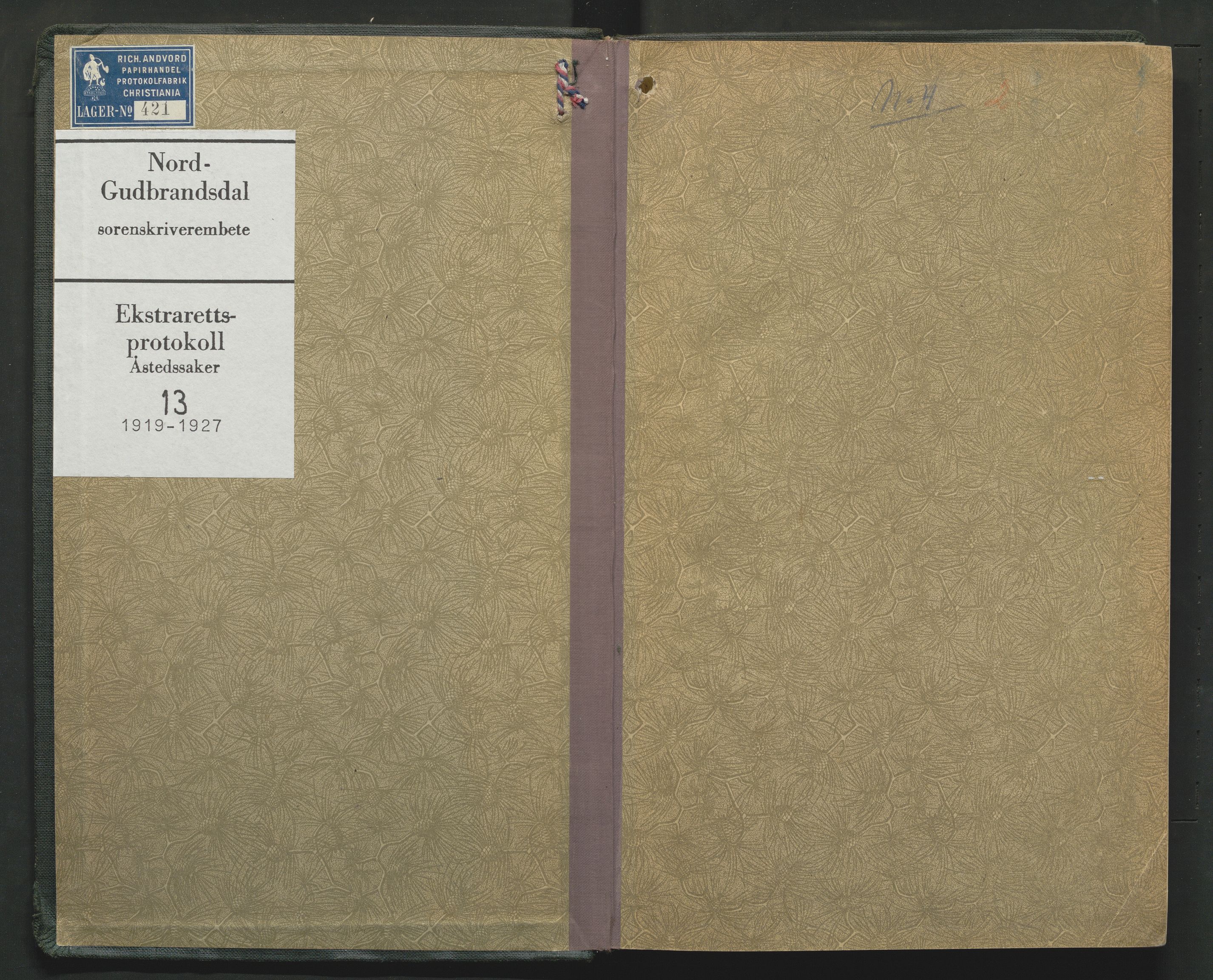 Nord-Gudbrandsdal tingrett, SAH/TING-002/G/Gc/Gcb/L0013: Ekstrarettsprotokoll for åstedssaker, 1919-1927