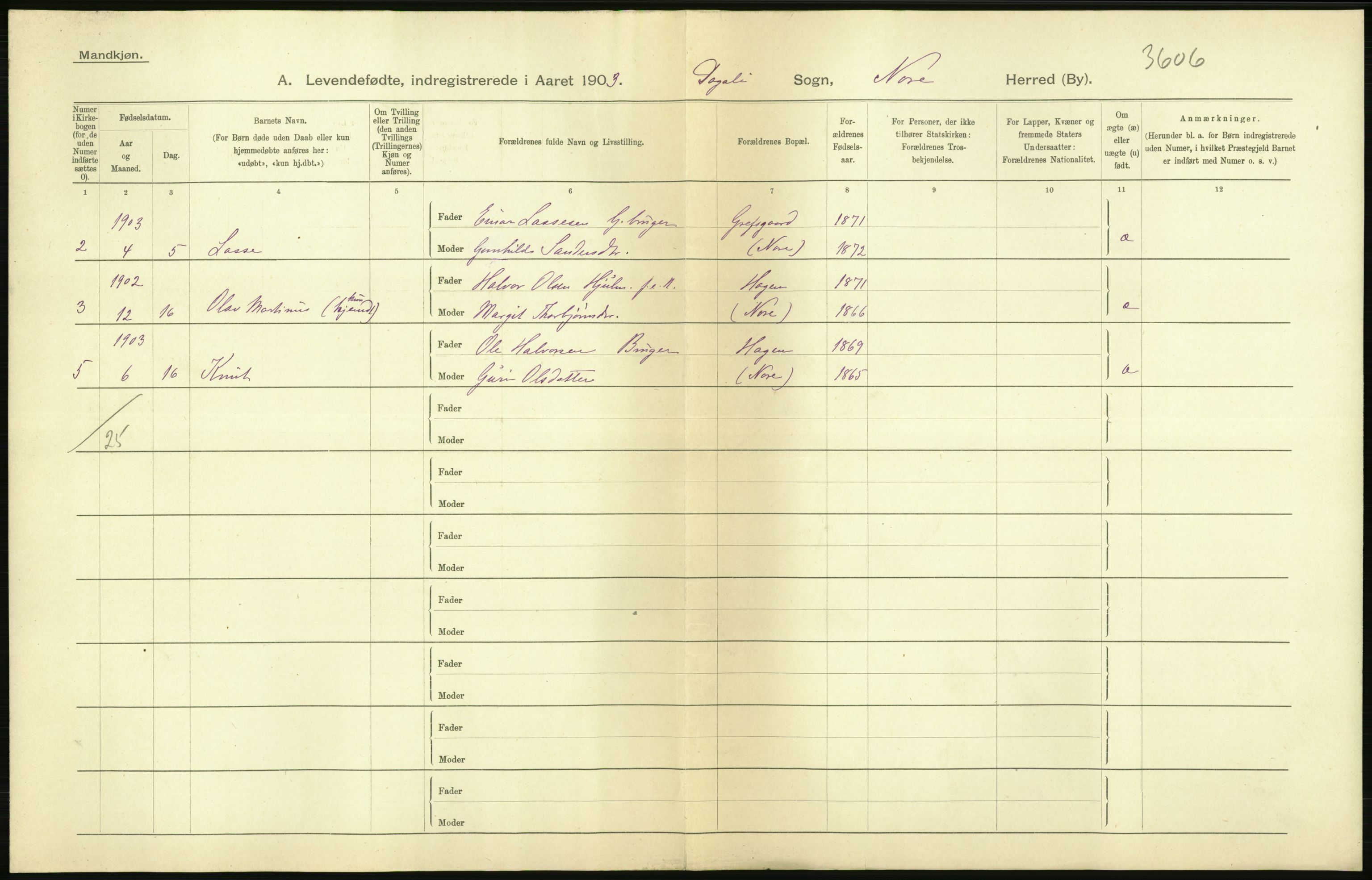 Statistisk sentralbyrå, Sosiodemografiske emner, Befolkning, AV/RA-S-2228/D/Df/Dfa/Dfaa/L0007: Buskeruds amt: Fødte, gifte, døde, 1903, p. 10