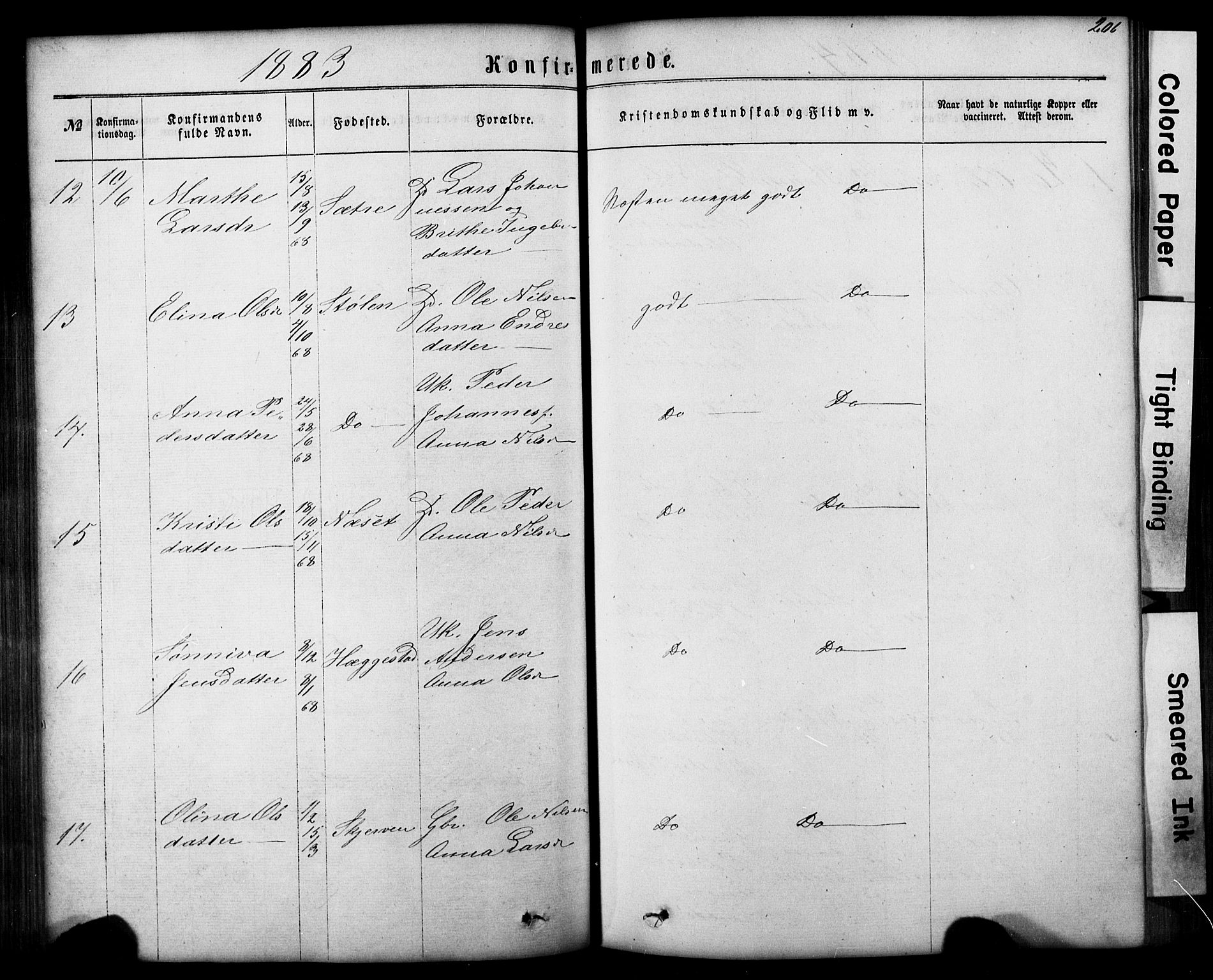 Hafslo sokneprestembete, SAB/A-80301/H/Hab/Haba/L0001: Parish register (copy) no. A 1, 1866-1908, p. 206