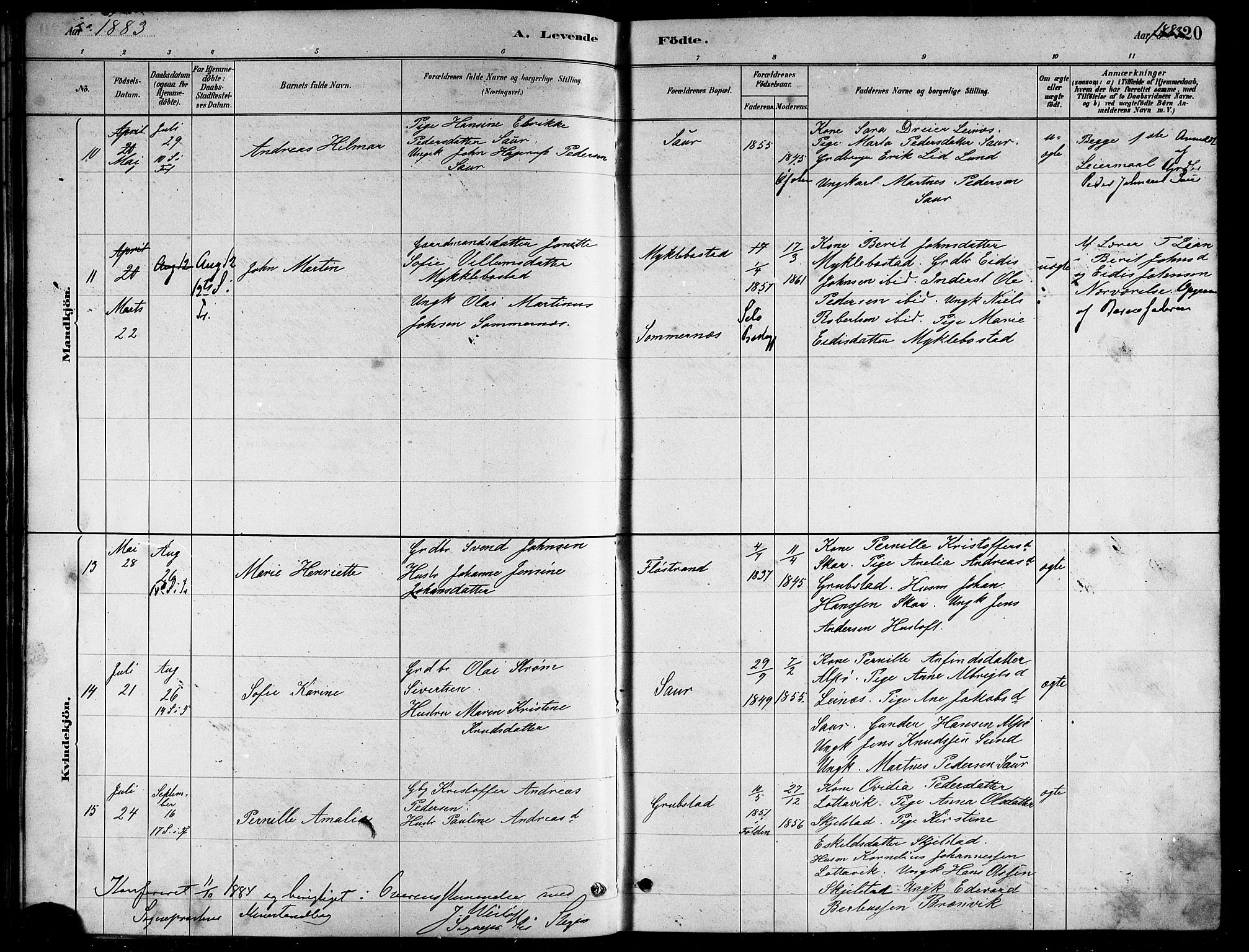 Ministerialprotokoller, klokkerbøker og fødselsregistre - Nordland, AV/SAT-A-1459/857/L0828: Parish register (copy) no. 857C03, 1879-1908, p. 20