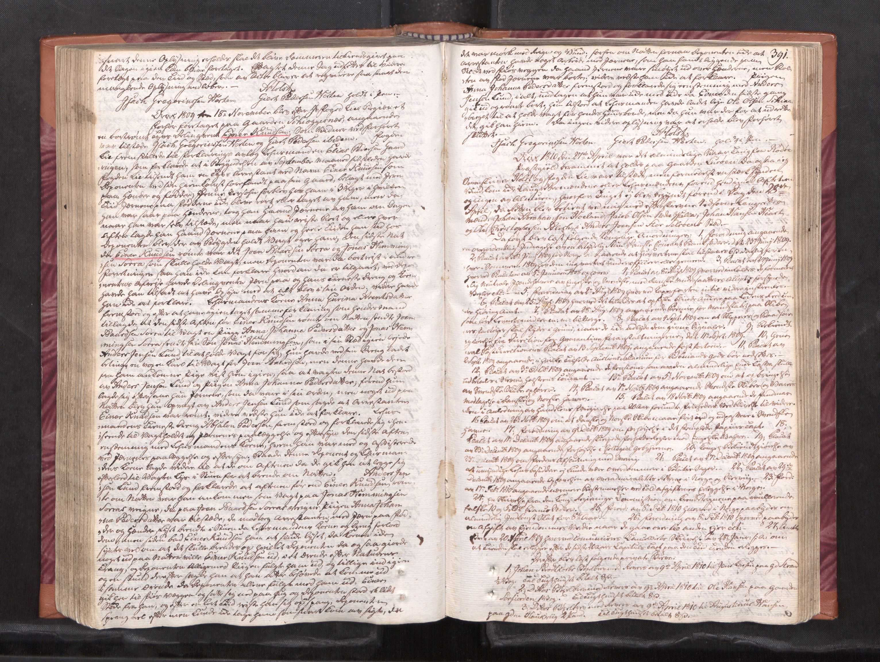 Helgeland sorenskriveri, AV/SAT-A-0004/1/1A/L0037: Tingbok 26B, 1806-1812, p. 390b-391a
