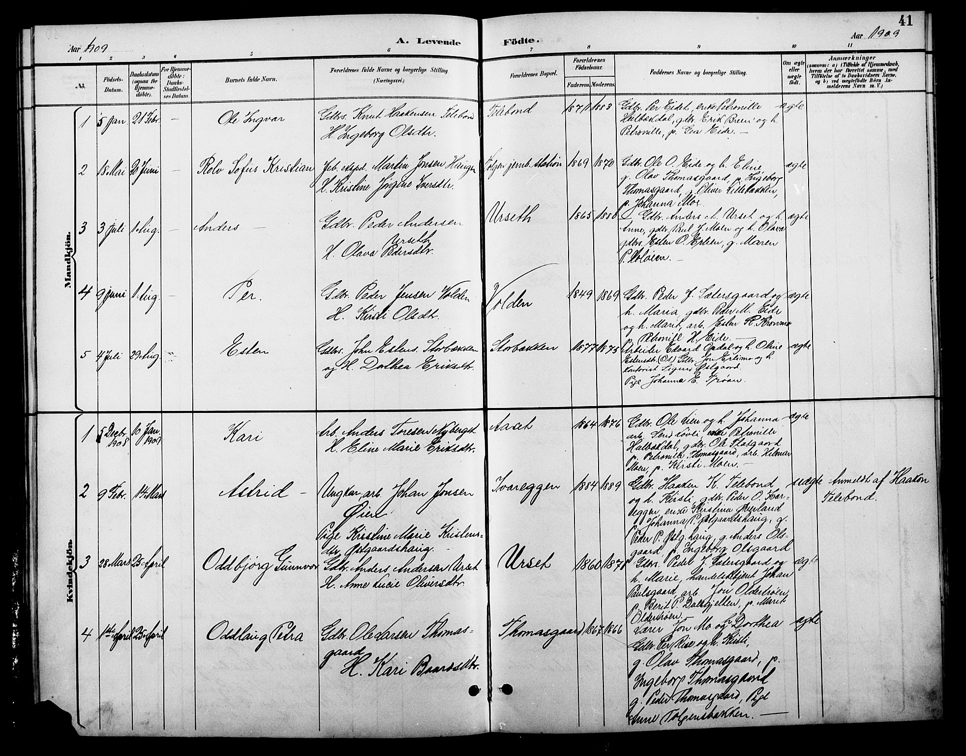 Tolga prestekontor, SAH/PREST-062/L/L0009: Parish register (copy) no. 9, 1892-1919, p. 41