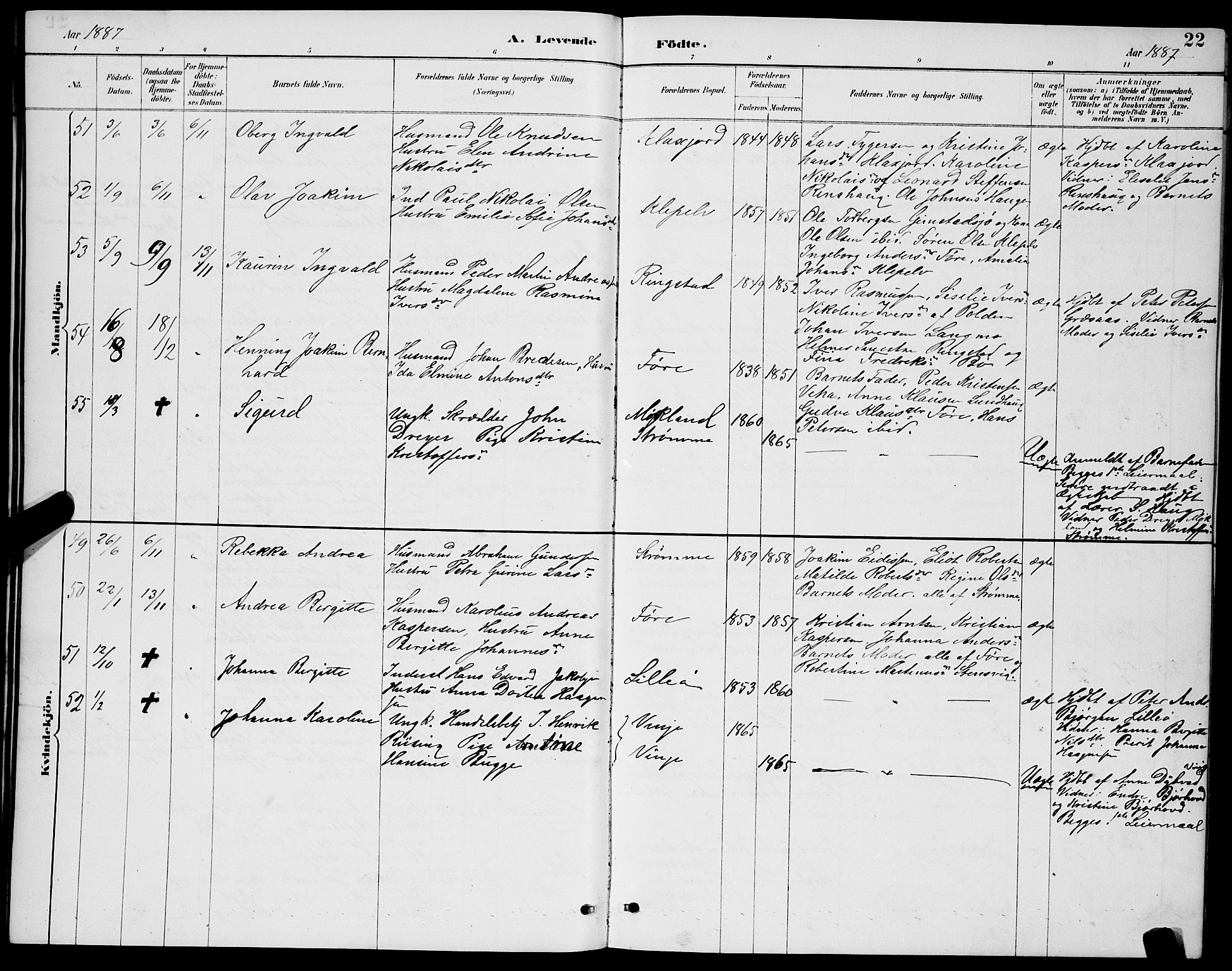 Ministerialprotokoller, klokkerbøker og fødselsregistre - Nordland, AV/SAT-A-1459/891/L1315: Parish register (copy) no. 891C04, 1886-1893, p. 22