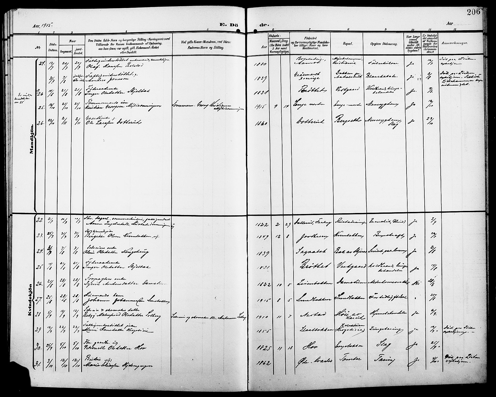 Løten prestekontor, SAH/PREST-022/L/La/L0007: Parish register (copy) no. 7, 1910-1919, p. 206