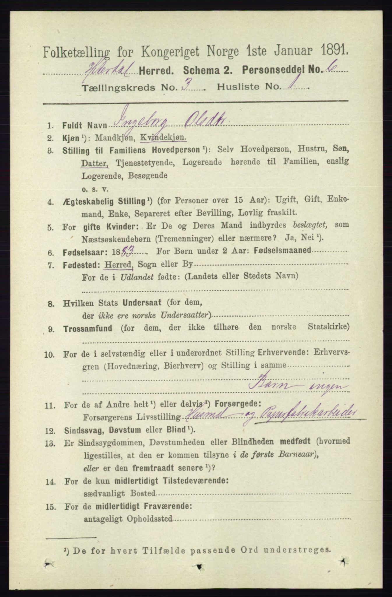 RA, 1891 census for 0823 Heddal, 1891, p. 1005