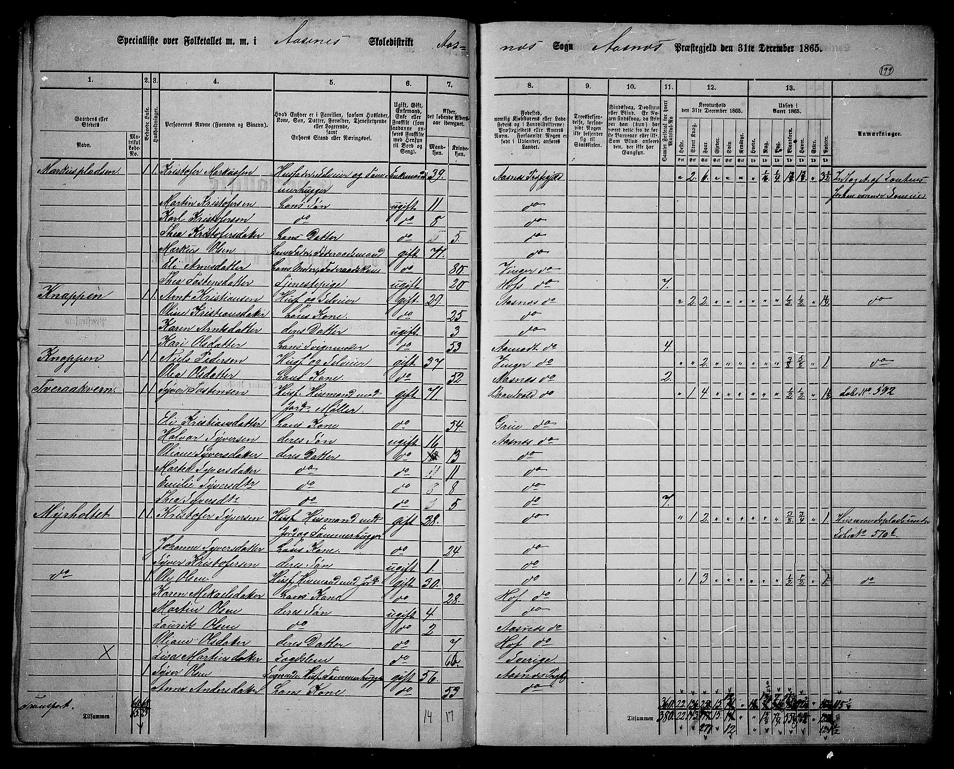 RA, 1865 census for Åsnes, 1865, p. 183