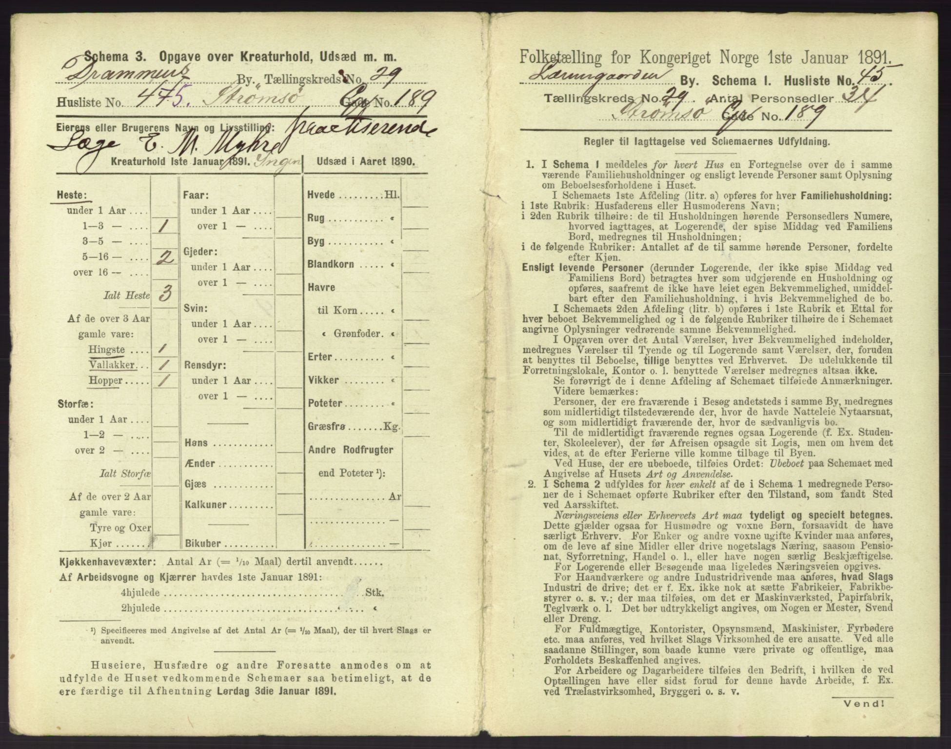 RA, 1891 census for 0602 Drammen, 1891, p. 2559