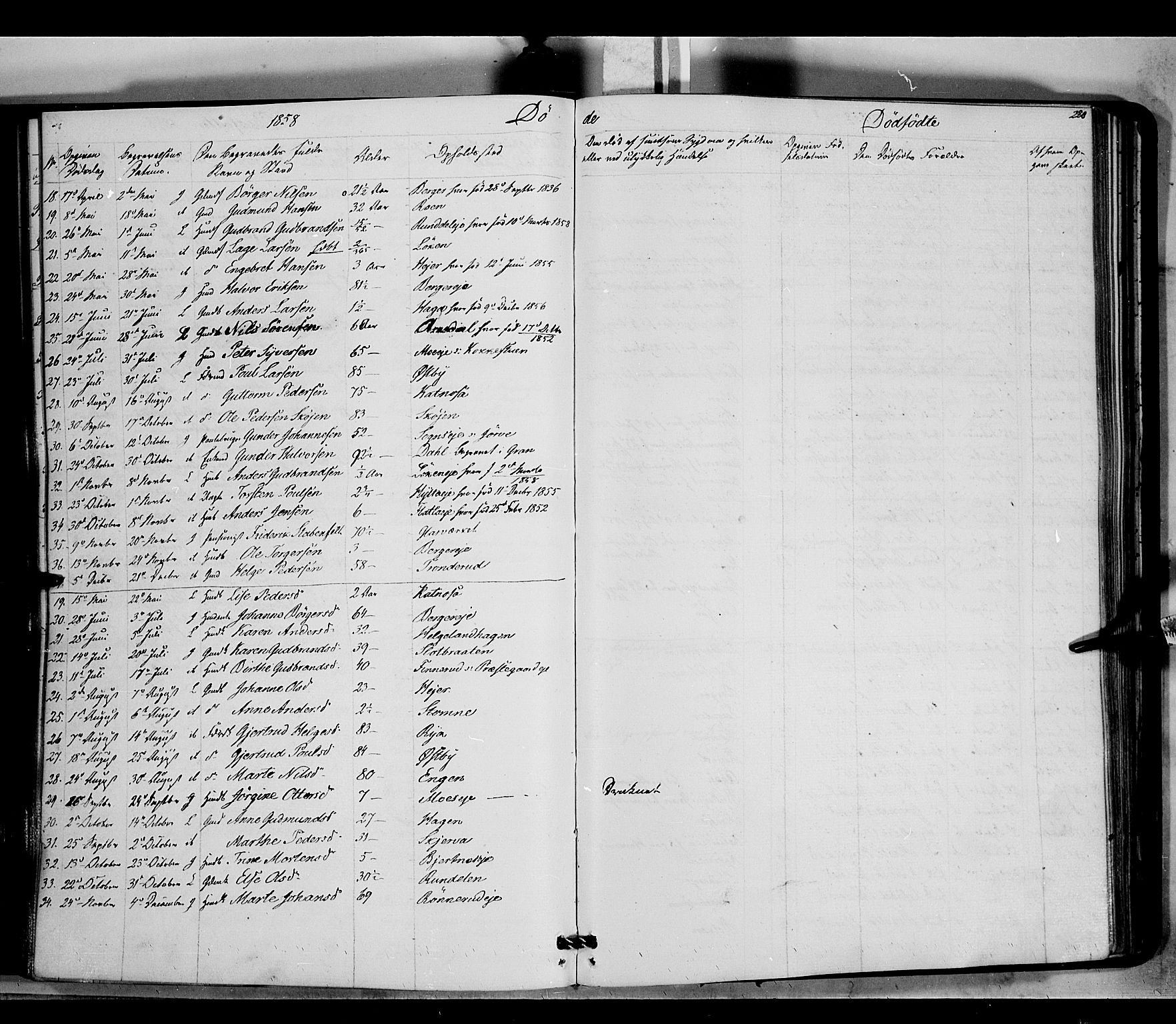 Jevnaker prestekontor, SAH/PREST-116/H/Ha/Haa/L0007: Parish register (official) no. 7, 1858-1876, p. 220