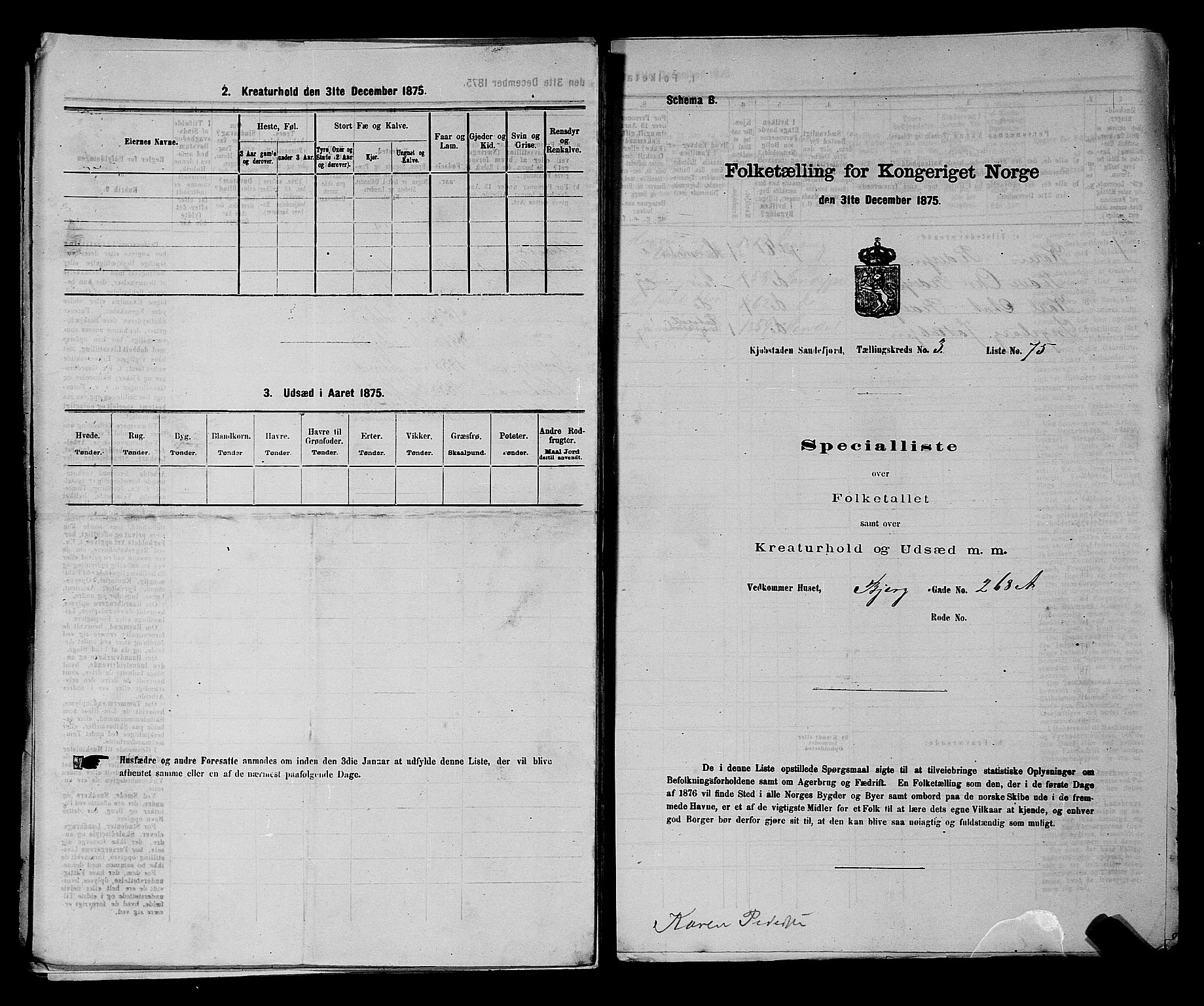 SAKO, 1875 census for 0706B Sandeherred/Sandefjord, 1875, p. 170