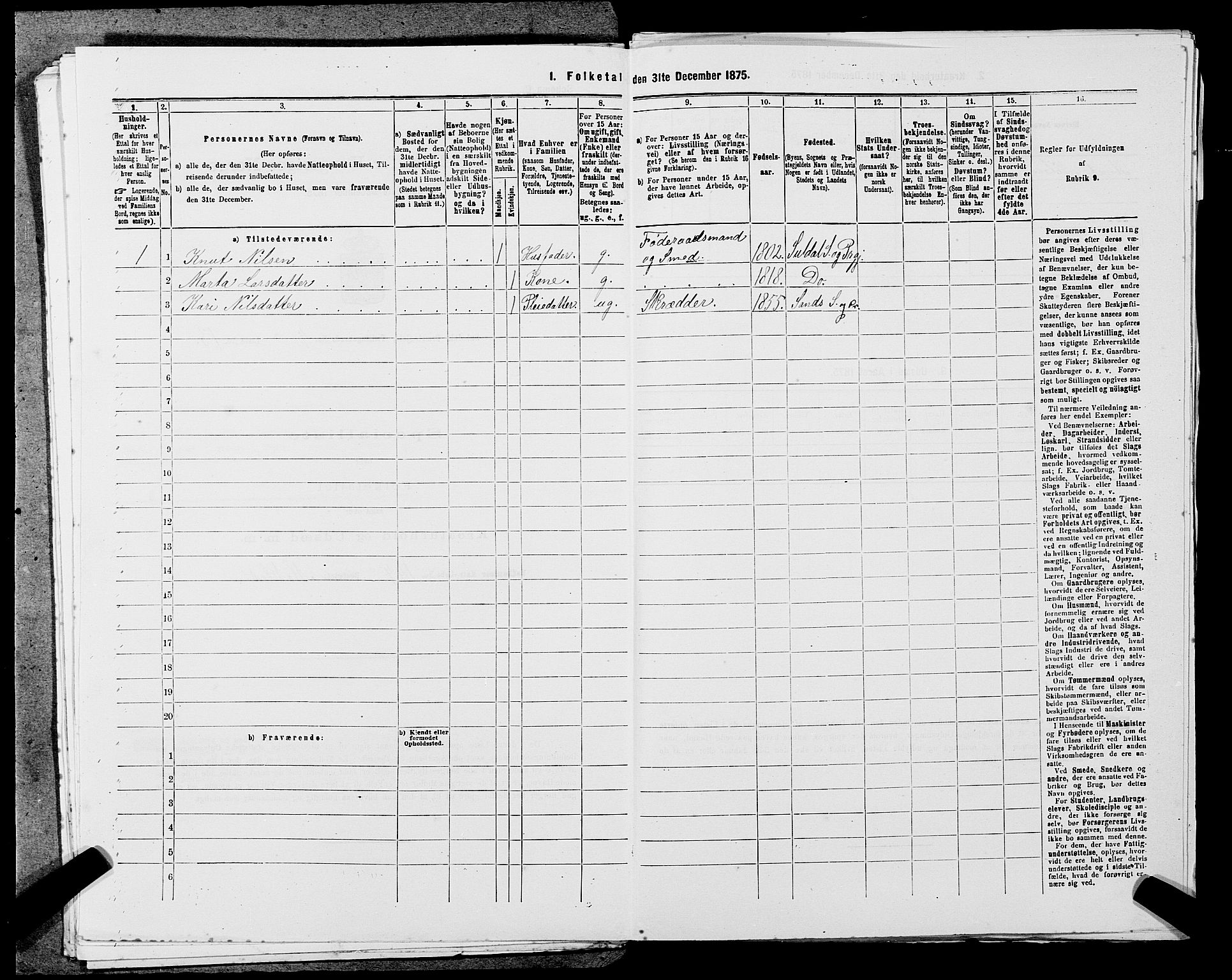 SAST, 1875 census for 1134P Suldal, 1875, p. 526