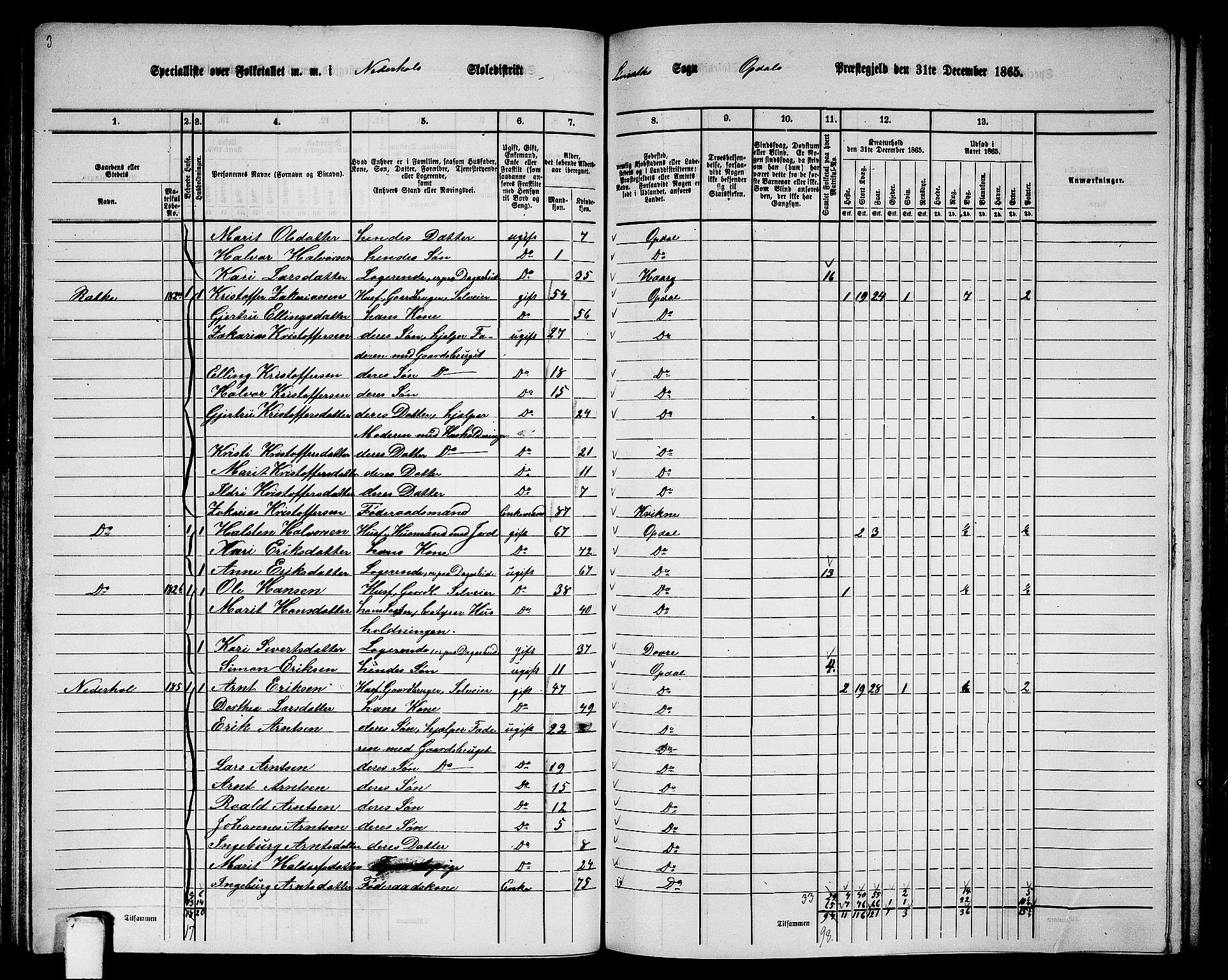 RA, 1865 census for Oppdal, 1865, p. 96