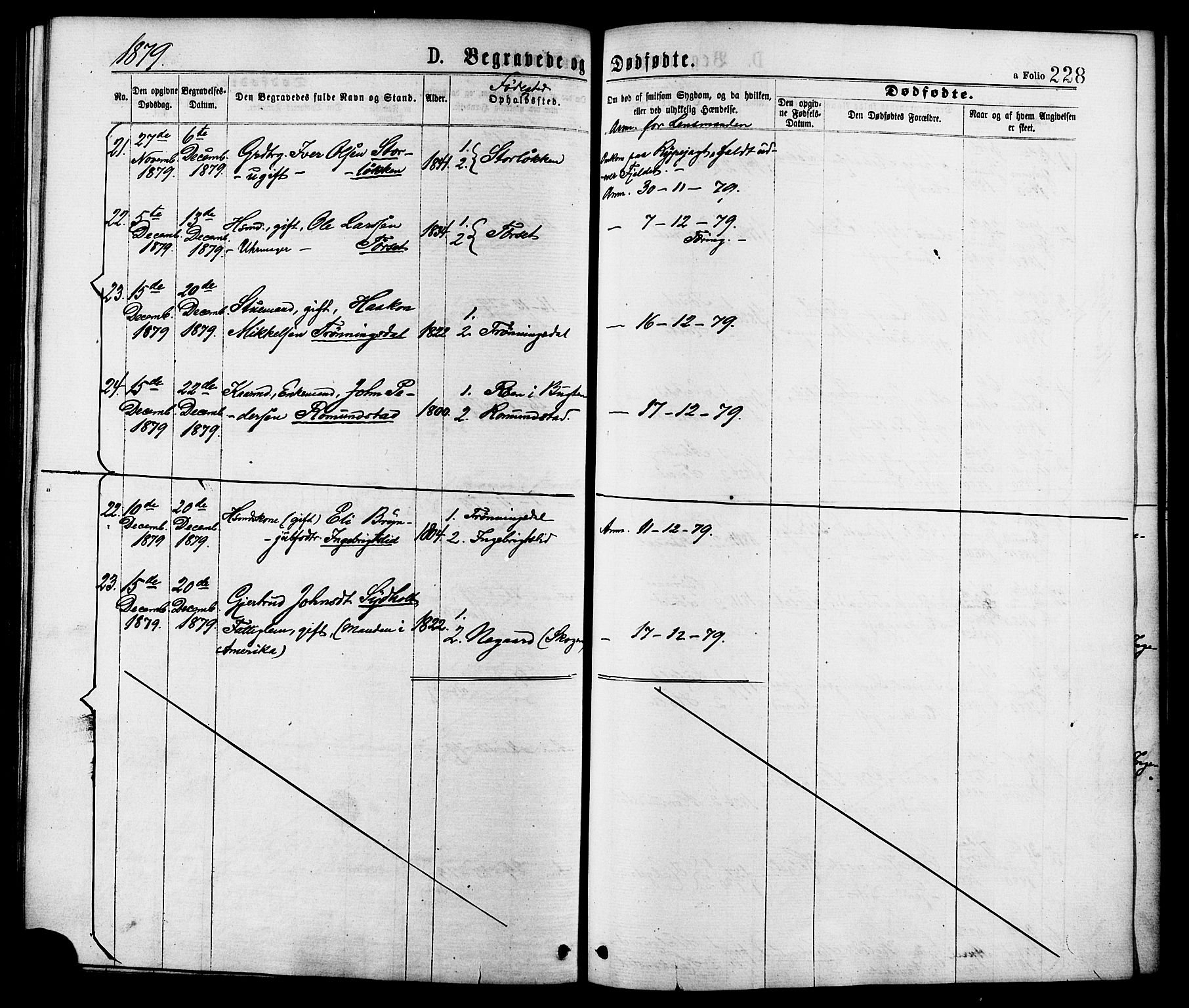 Ministerialprotokoller, klokkerbøker og fødselsregistre - Møre og Romsdal, AV/SAT-A-1454/598/L1068: Parish register (official) no. 598A02, 1872-1881, p. 228