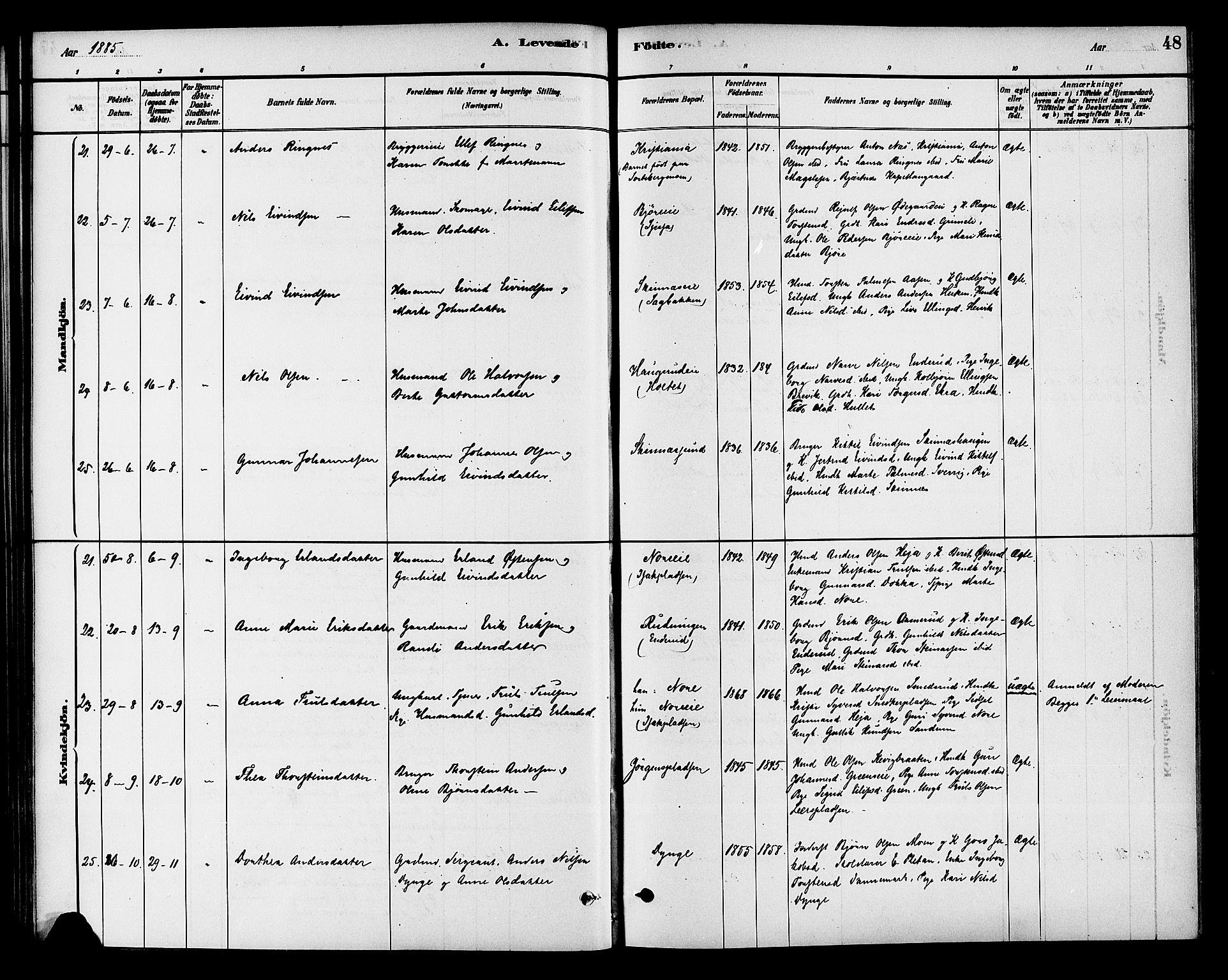 Krødsherad kirkebøker, AV/SAKO-A-19/G/Ga/L0001: Parish register (copy) no. 1, 1879-1893, p. 48