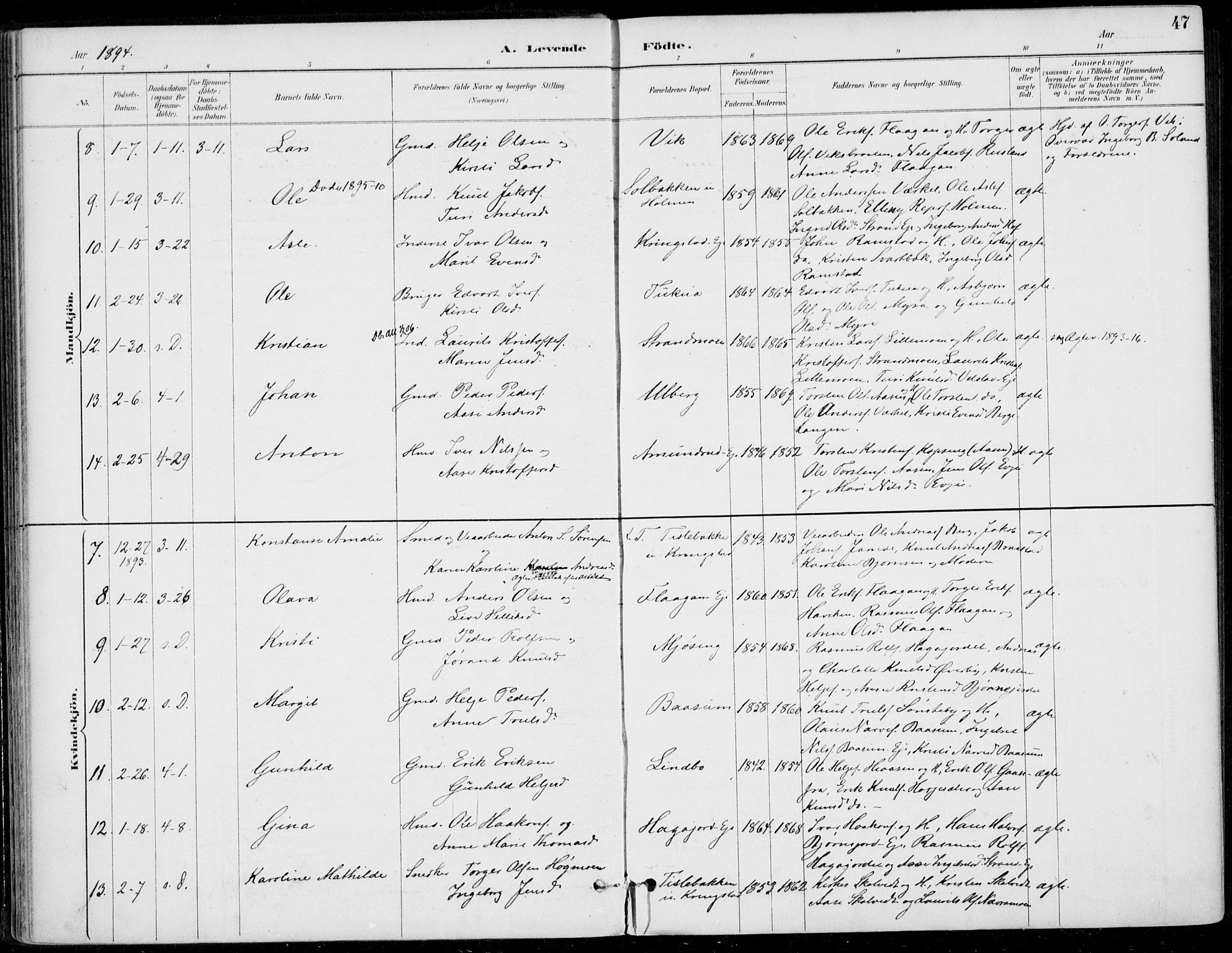 Sigdal kirkebøker, AV/SAKO-A-245/F/Fb/L0001: Parish register (official) no. II 1, 1888-1900, p. 47