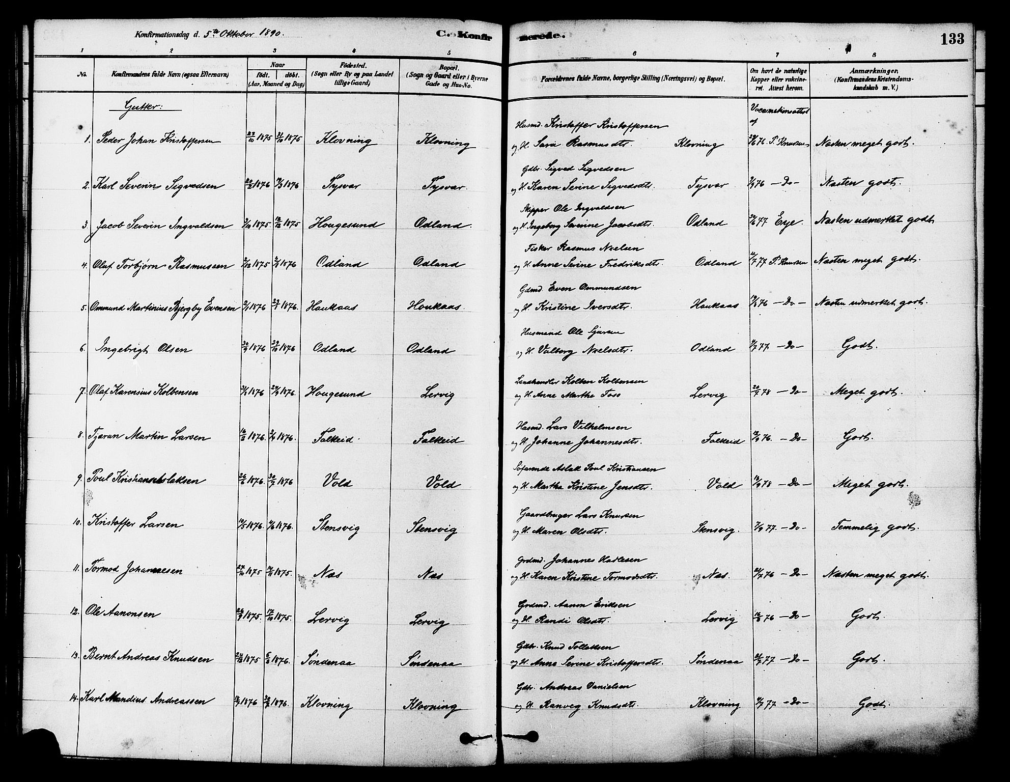 Tysvær sokneprestkontor, SAST/A -101864/H/Ha/Haa/L0006: Parish register (official) no. A 6, 1878-1896, p. 133