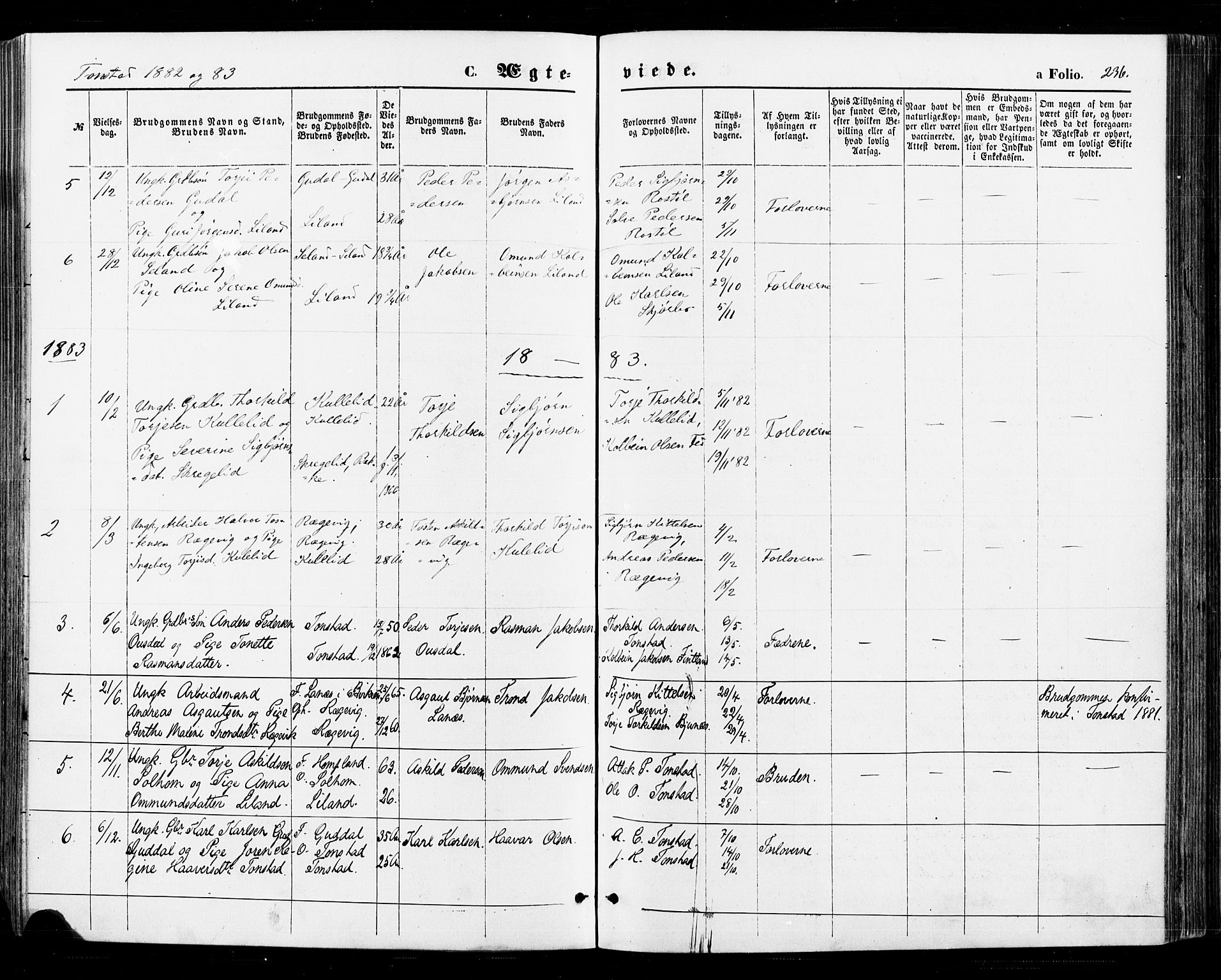 Sirdal sokneprestkontor, SAK/1111-0036/F/Fa/Fab/L0003: Parish register (official) no. A 3, 1874-1886, p. 236