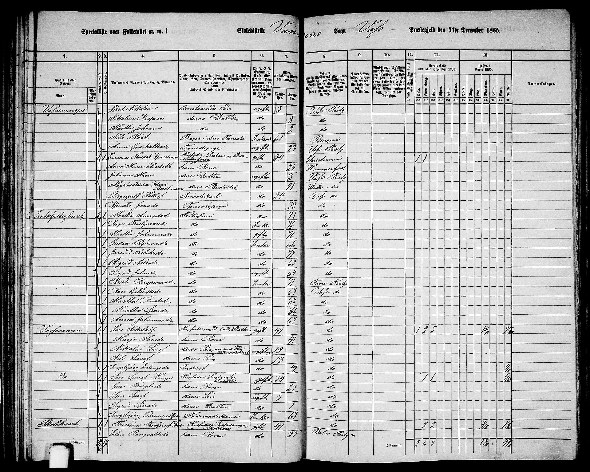 RA, 1865 census for Voss, 1865, p. 61