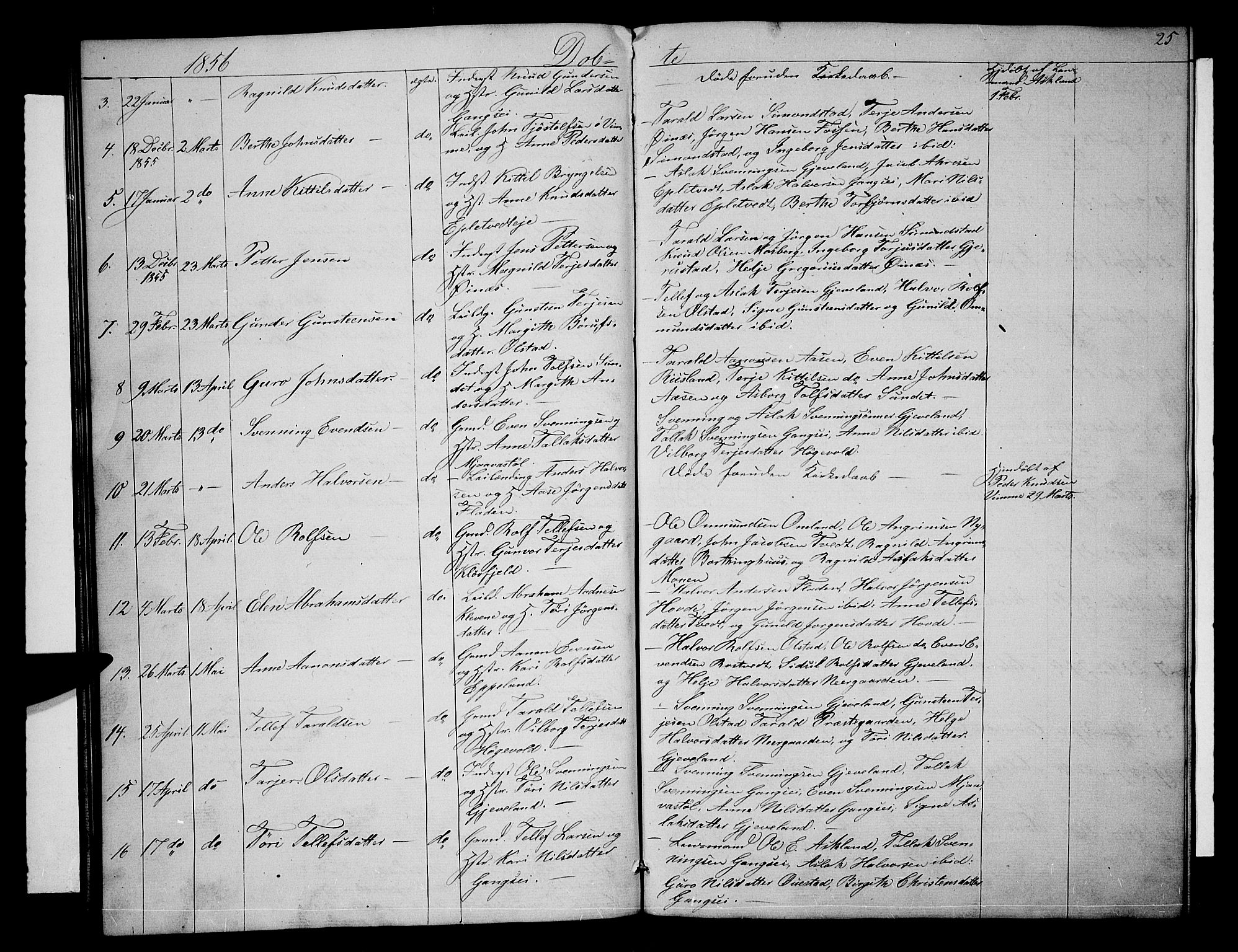 Åmli sokneprestkontor, AV/SAK-1111-0050/F/Fb/Fbc/L0002: Parish register (copy) no. B 2, 1850-1867, p. 25