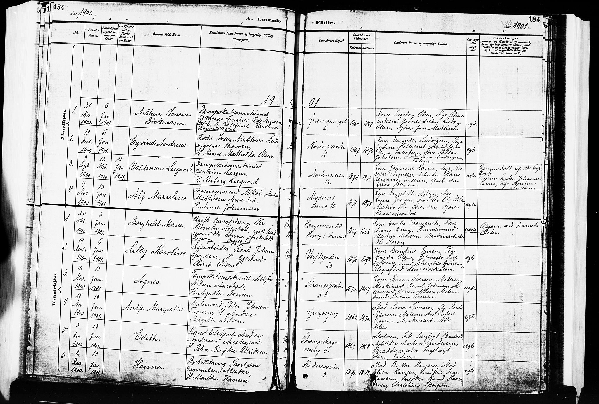Nykirken Sokneprestembete, SAB/A-77101/H/Hab: Parish register (copy) no. B 4, 1900-1903, p. 184