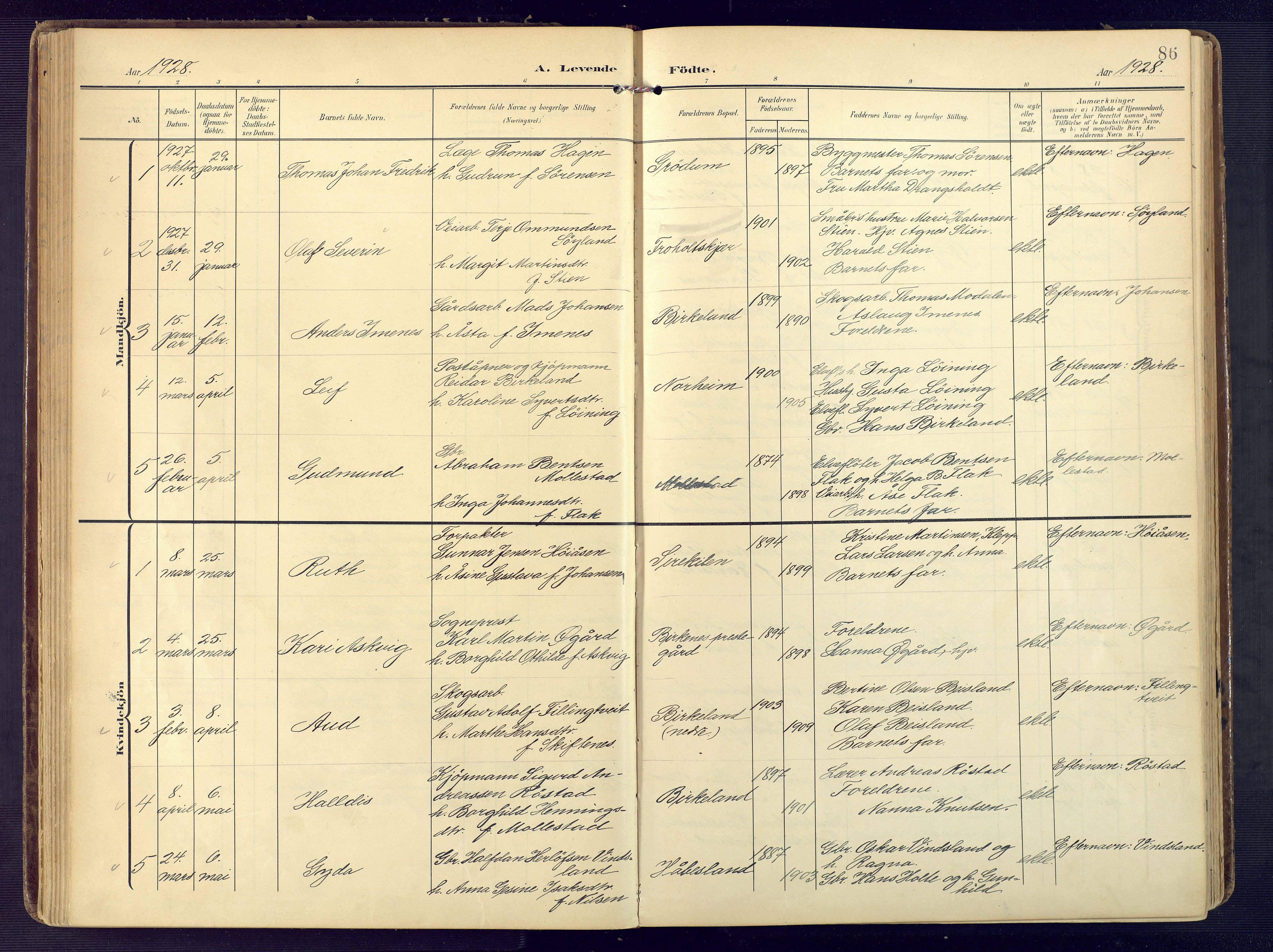 Birkenes sokneprestkontor, SAK/1111-0004/F/Fa/L0006: Parish register (official) no. A 6, 1908-1932, p. 86