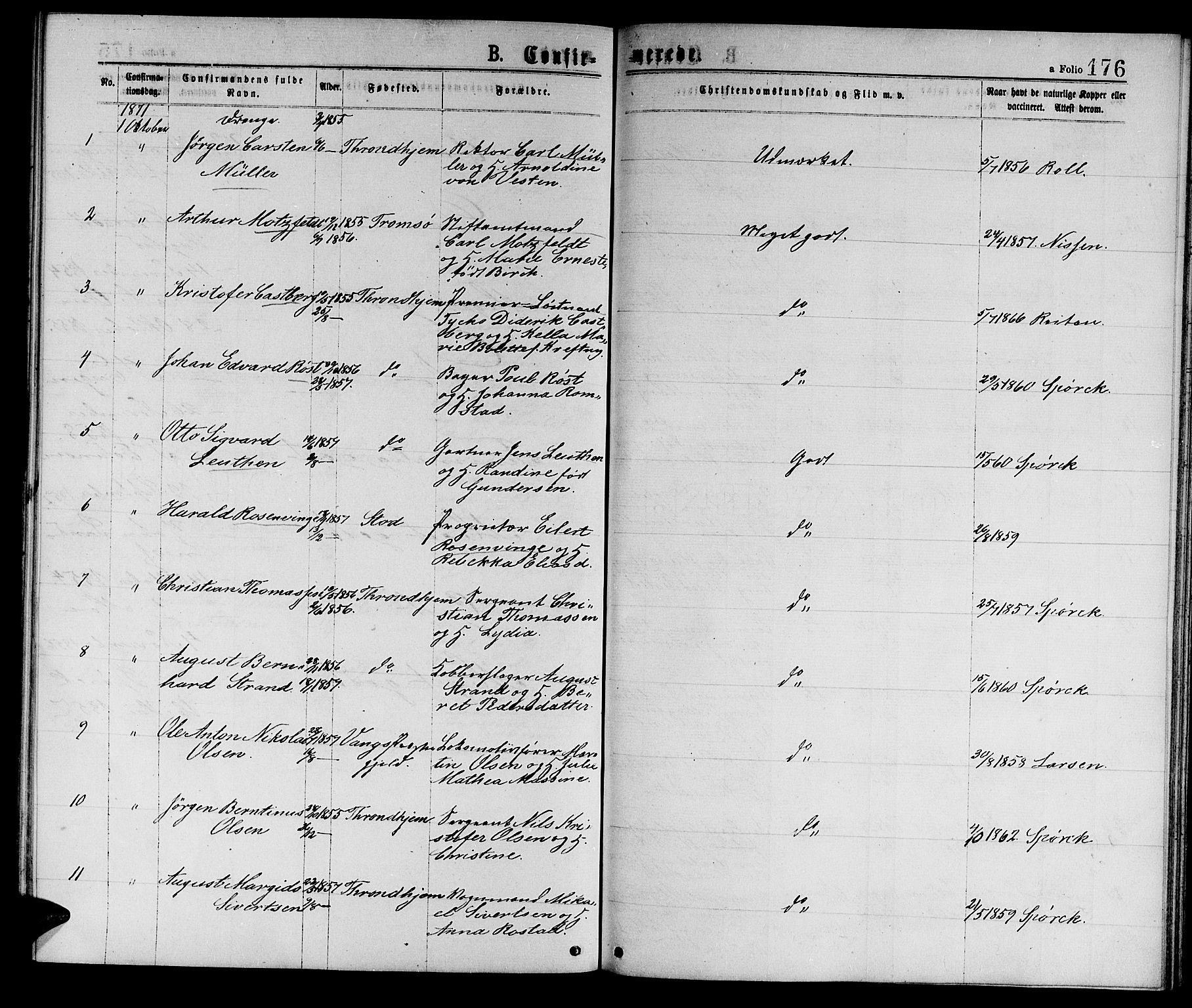 Ministerialprotokoller, klokkerbøker og fødselsregistre - Sør-Trøndelag, AV/SAT-A-1456/601/L0088: Parish register (copy) no. 601C06, 1870-1878, p. 176